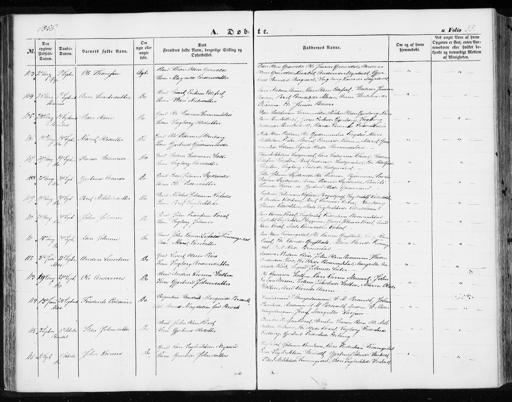 Ministerialprotokoller, klokkerbøker og fødselsregistre - Møre og Romsdal, AV/SAT-A-1454/595/L1044: Parish register (official) no. 595A06, 1852-1863, p. 55