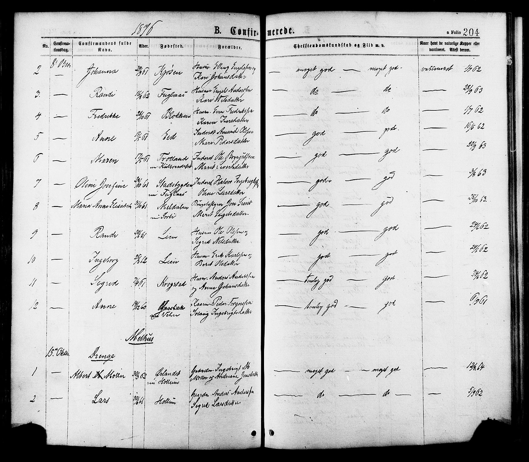 Ministerialprotokoller, klokkerbøker og fødselsregistre - Sør-Trøndelag, SAT/A-1456/691/L1079: Parish register (official) no. 691A11, 1873-1886, p. 204