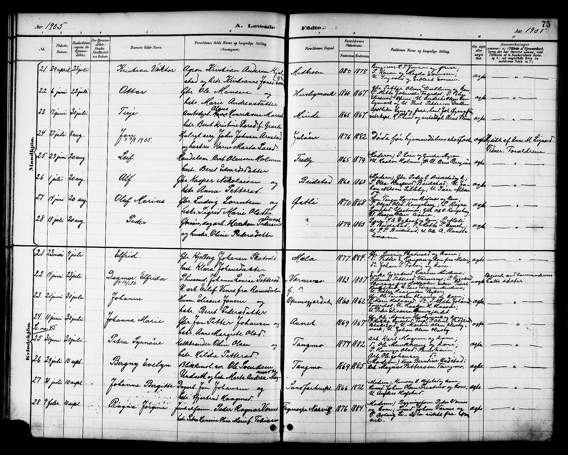 Ministerialprotokoller, klokkerbøker og fødselsregistre - Nord-Trøndelag, AV/SAT-A-1458/709/L0087: Parish register (copy) no. 709C01, 1892-1913, p. 75