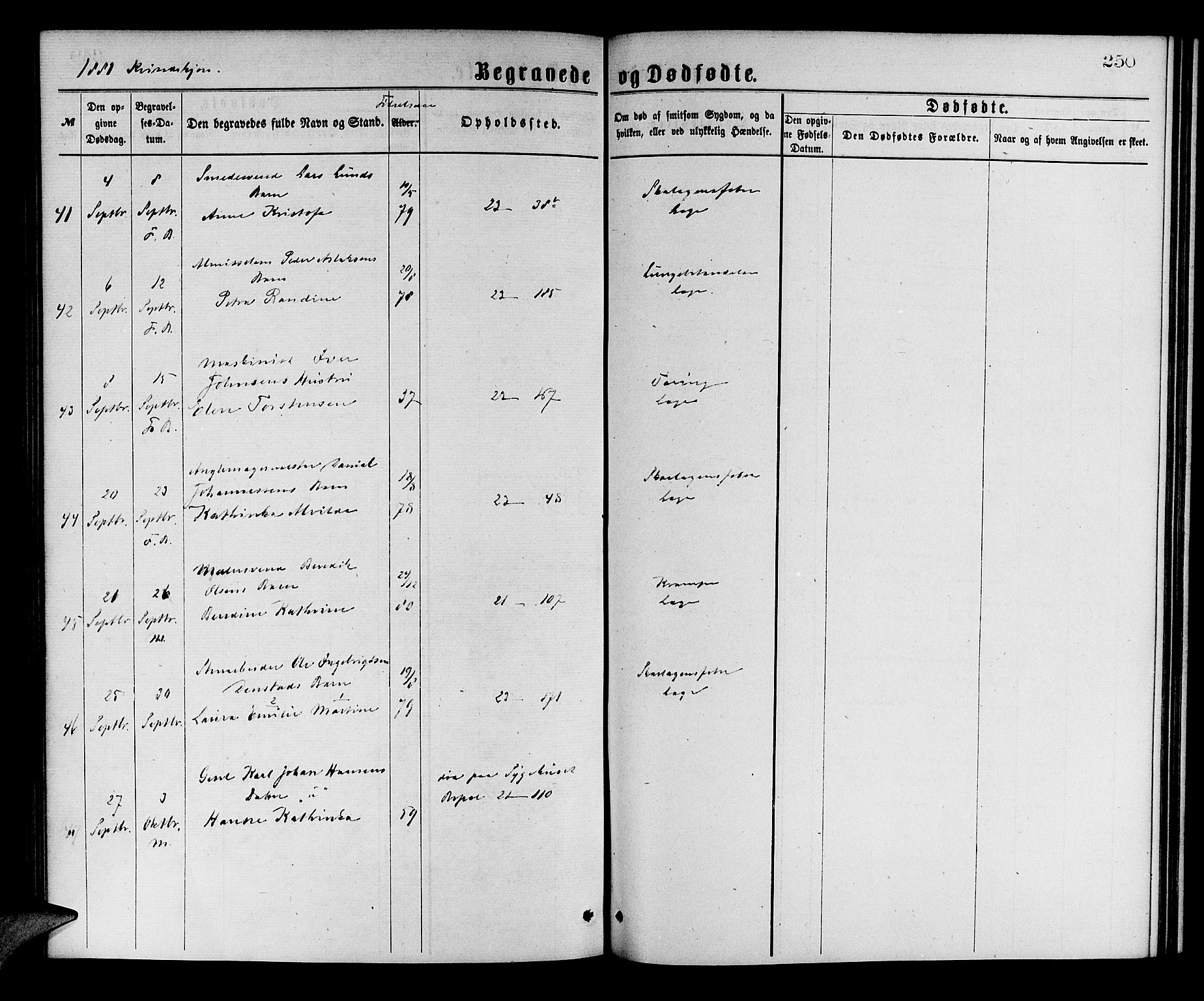 Korskirken sokneprestembete, AV/SAB-A-76101/H/Hab: Parish register (copy) no. E 3, 1871-1883, p. 250