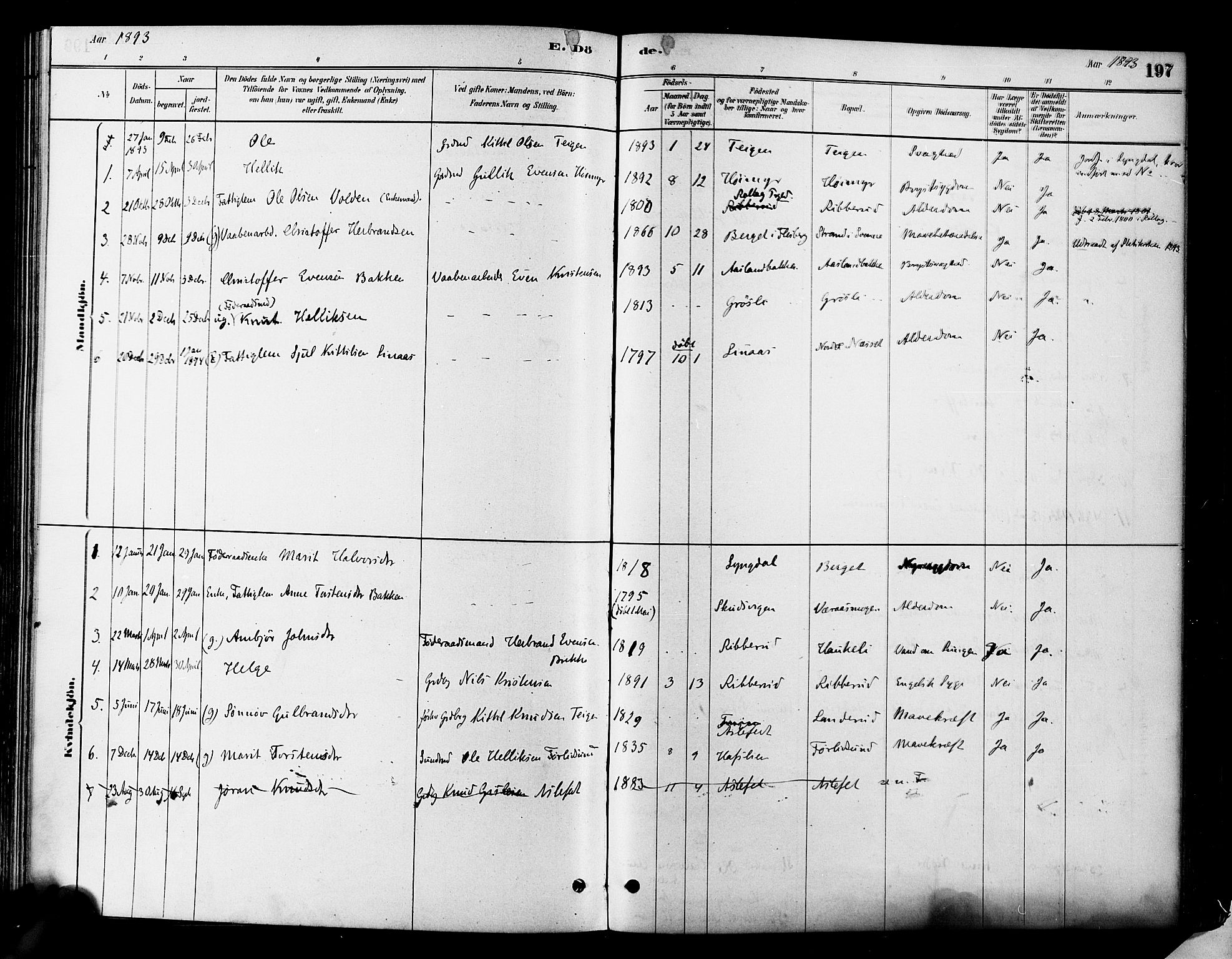 Flesberg kirkebøker, SAKO/A-18/F/Fa/L0008: Parish register (official) no. I 8, 1879-1899, p. 197