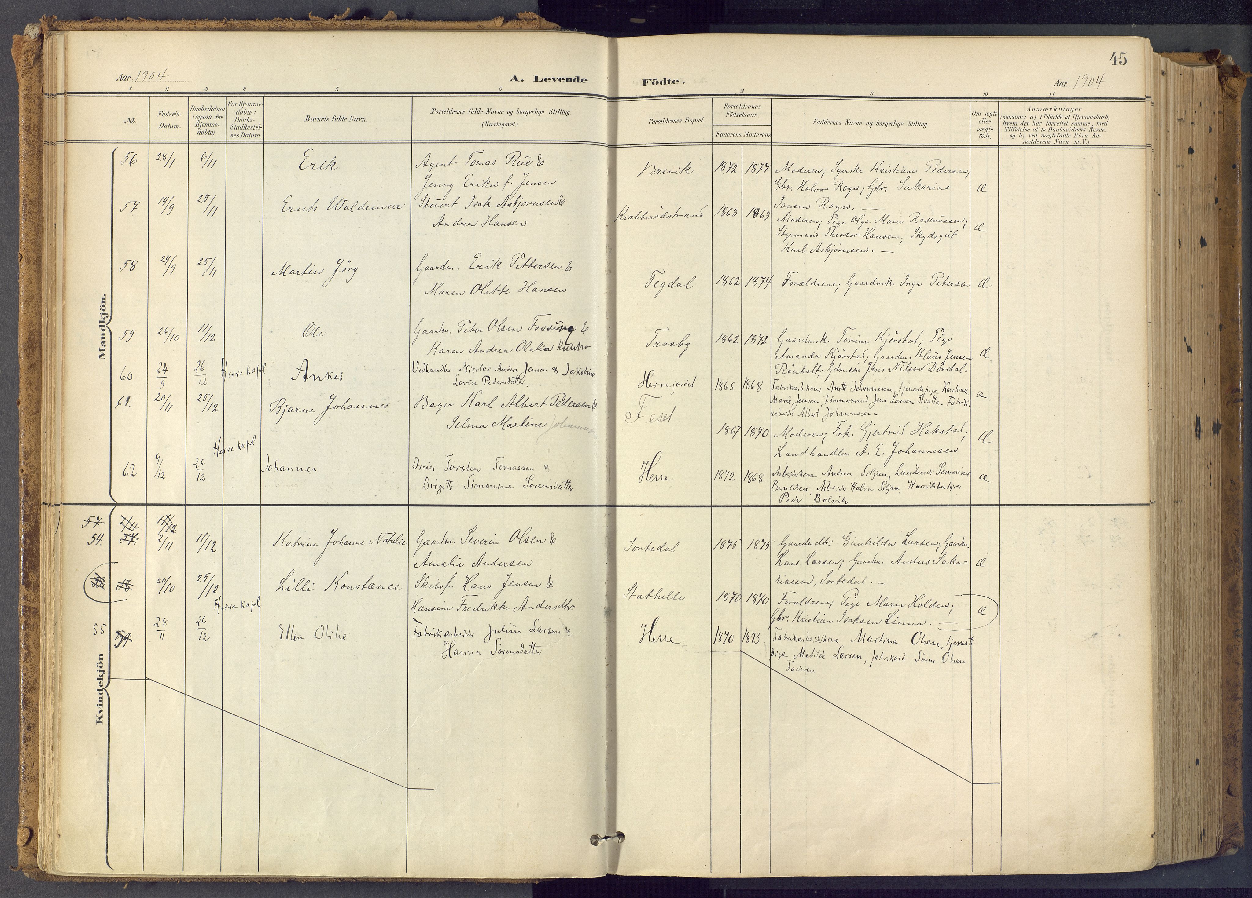 Bamble kirkebøker, SAKO/A-253/F/Fa/L0009: Parish register (official) no. I 9, 1901-1917, p. 45
