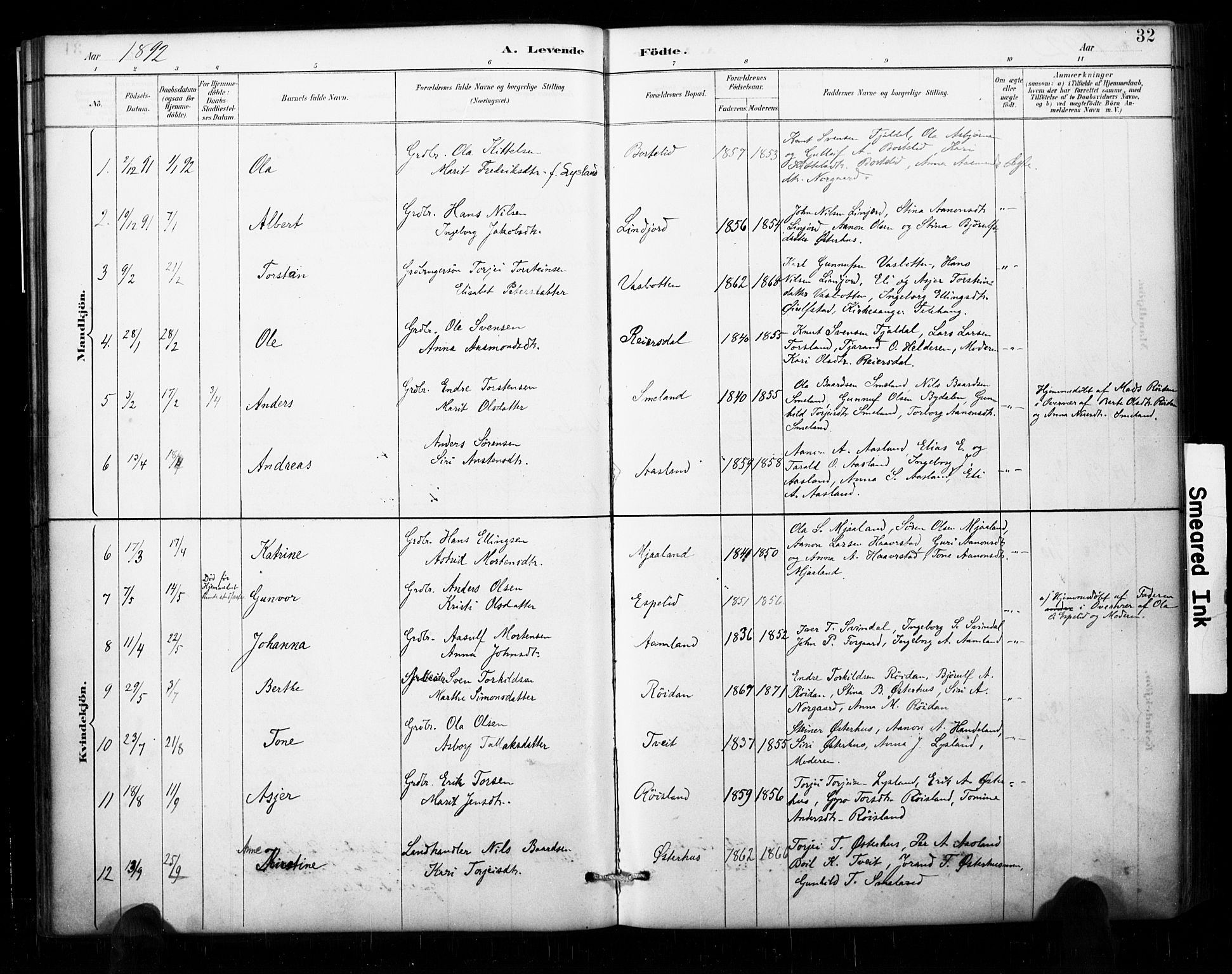 Åseral sokneprestkontor, AV/SAK-1111-0051/F/Fa/L0003: Parish register (official) no. A 3, 1884-1901, p. 32