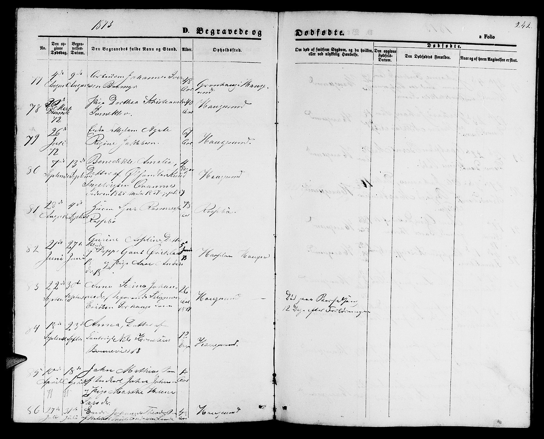 Haugesund sokneprestkontor, AV/SAST-A -101863/H/Ha/Hab/L0001: Parish register (copy) no. B 1, 1873-1881, p. 242