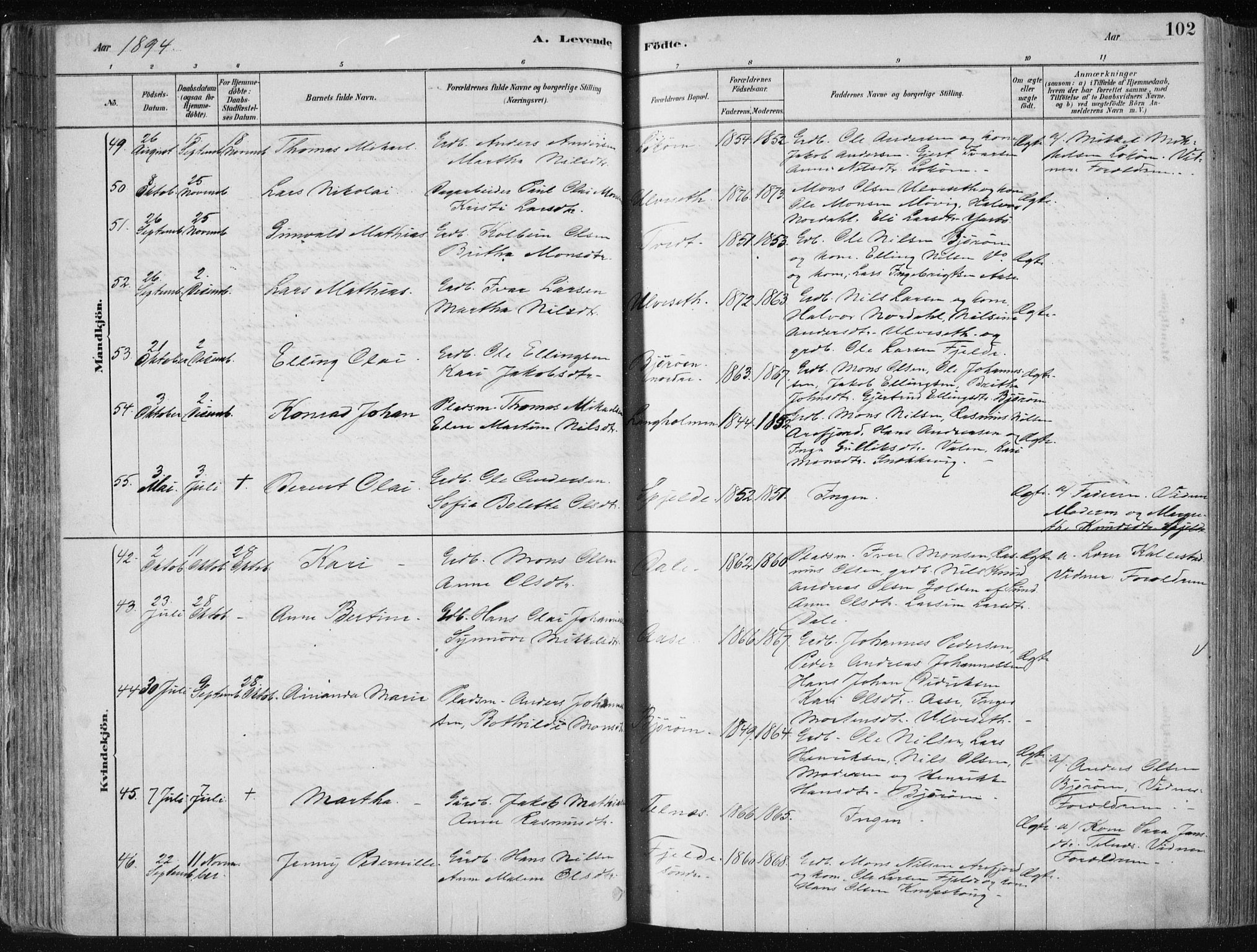 Fjell sokneprestembete, SAB/A-75301/H/Haa: Parish register (official) no. A  8, 1878-1898, p. 102