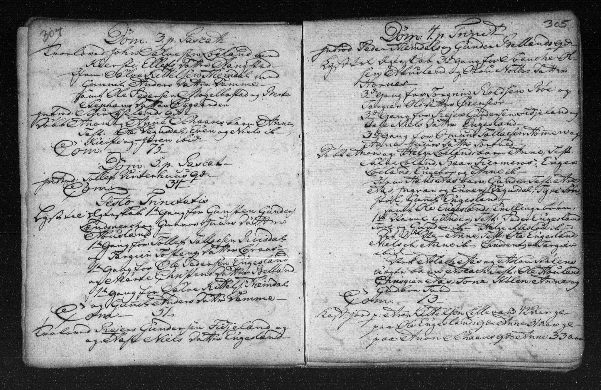 Herefoss sokneprestkontor, AV/SAK-1111-0019/F/Fa/Fab/L0001: Parish register (official) no. A 1, 1704-1779, p. 304-305