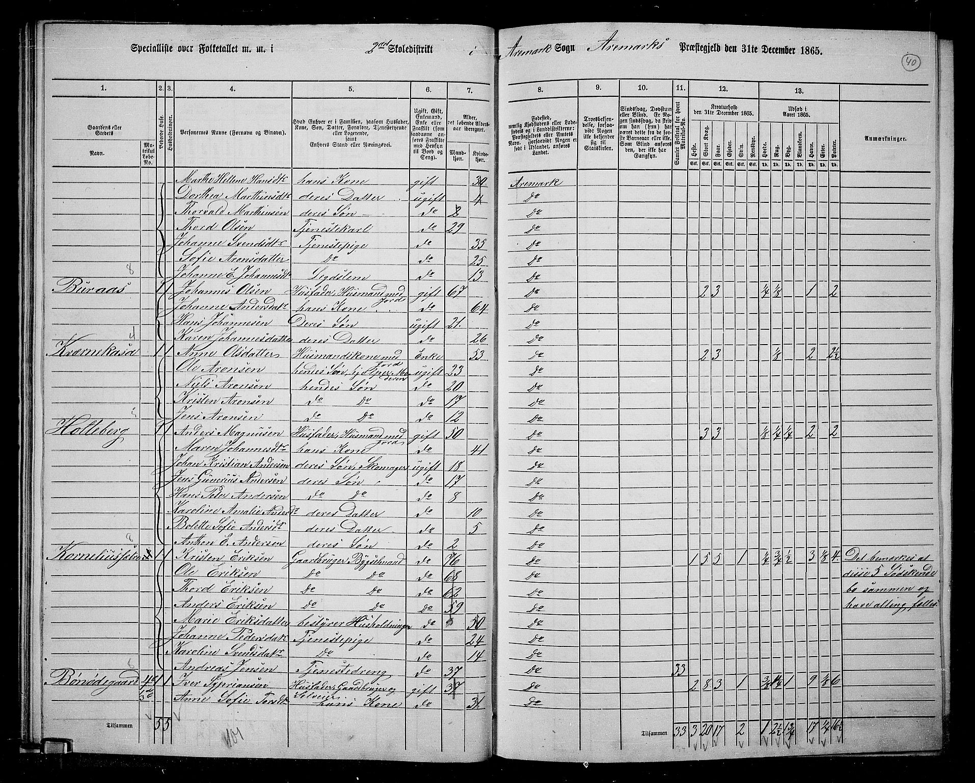 RA, 1865 census for Aremark, 1865, p. 35