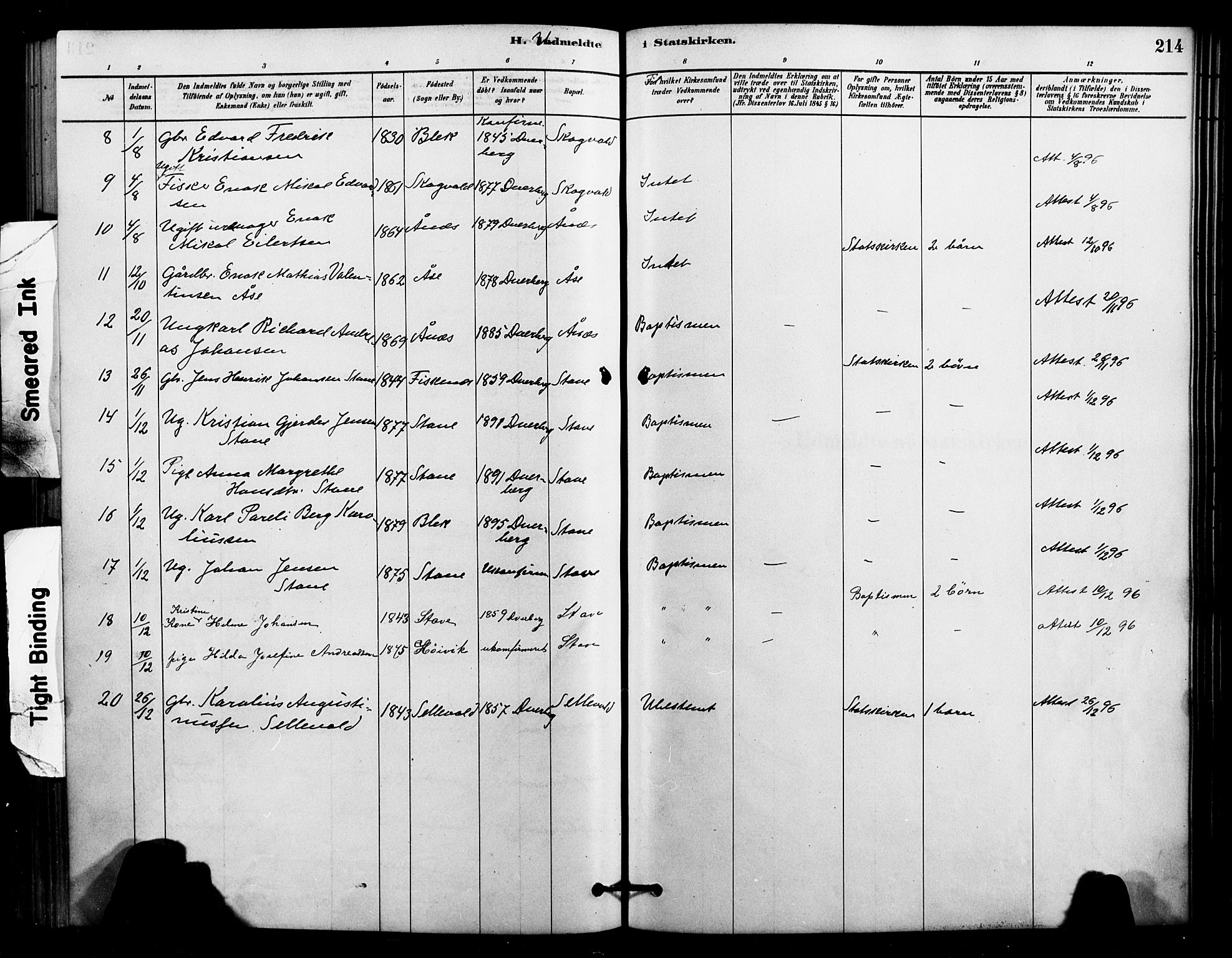 Ministerialprotokoller, klokkerbøker og fødselsregistre - Nordland, AV/SAT-A-1459/897/L1399: Parish register (official) no. 897C06, 1881-1896, p. 214