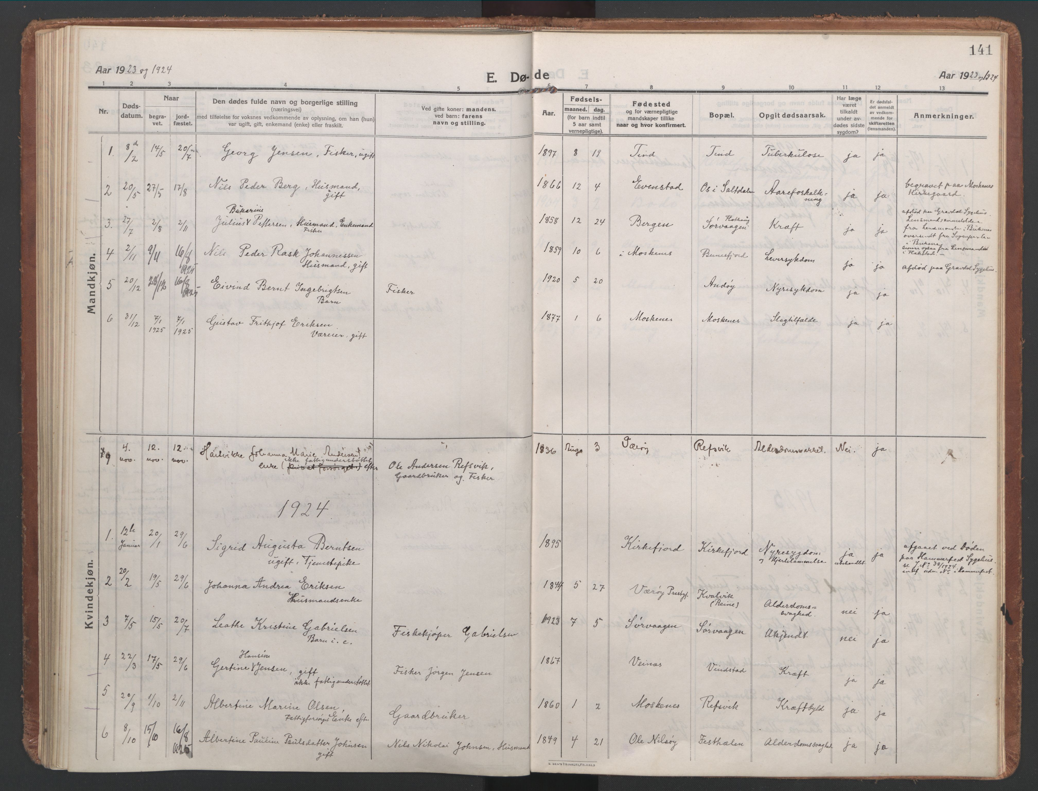 Ministerialprotokoller, klokkerbøker og fødselsregistre - Nordland, AV/SAT-A-1459/886/L1222: Parish register (official) no. 886A04, 1914-1926, p. 141