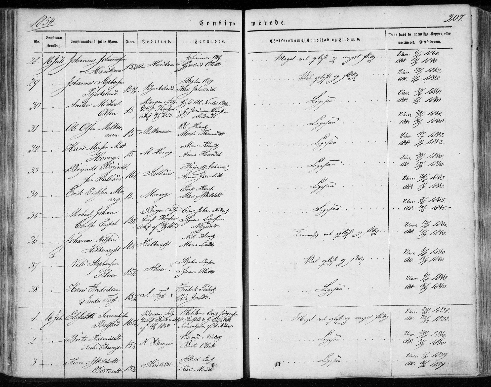 Hamre sokneprestembete, AV/SAB-A-75501/H/Ha/Haa/Haaa/L0013: Parish register (official) no. A 13, 1846-1857, p. 207