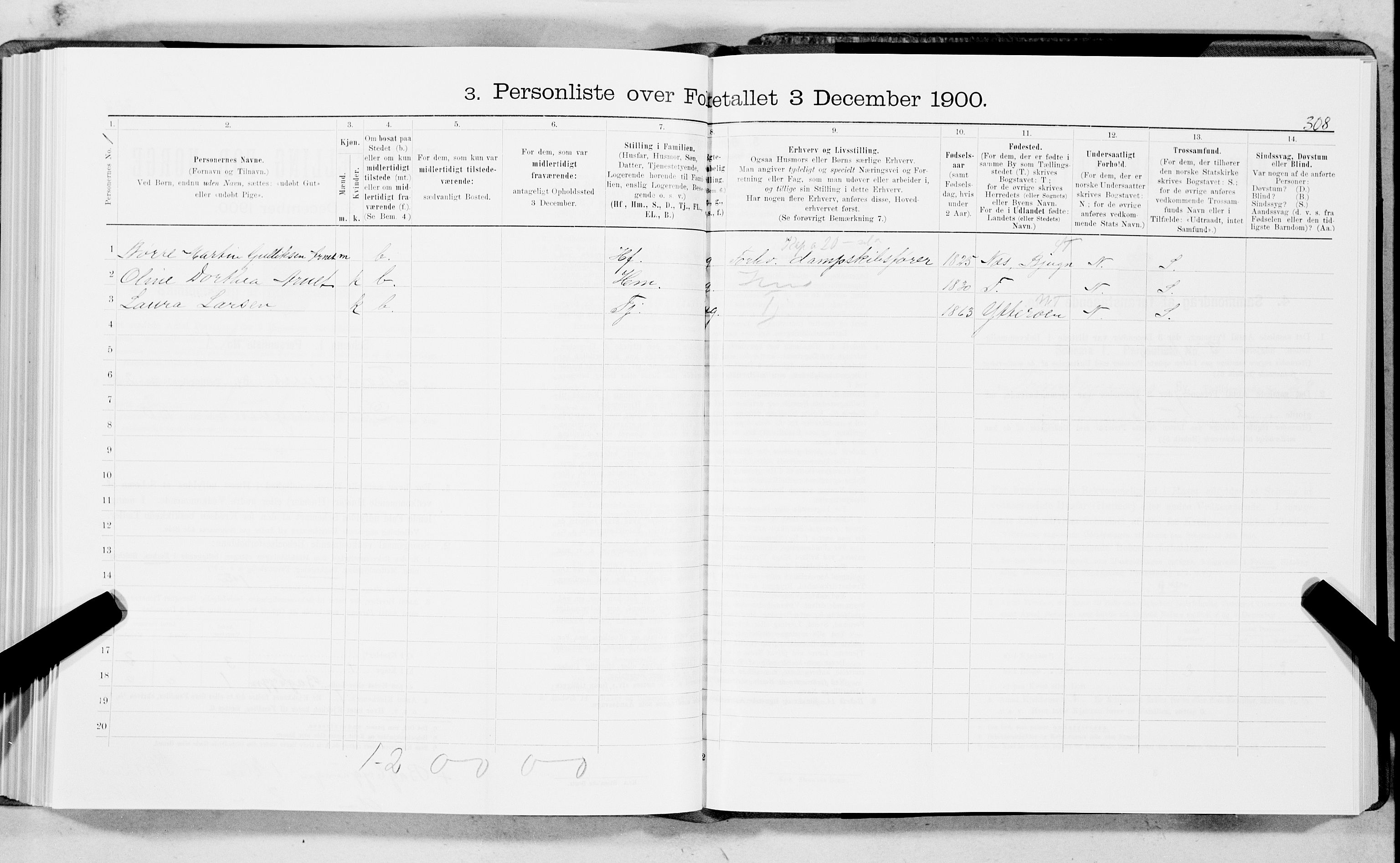 SAT, 1900 census for Trondheim, 1900, p. 4316