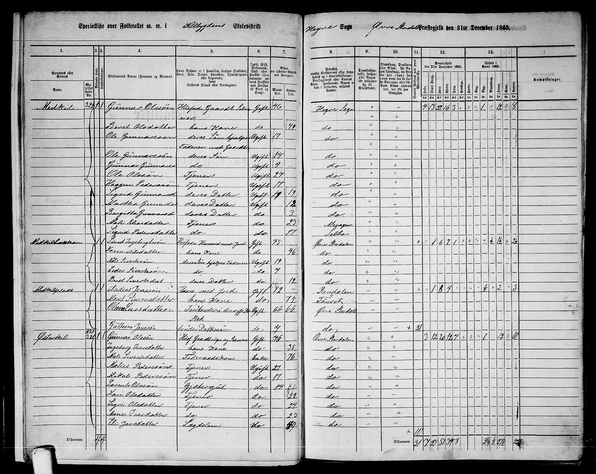 RA, 1865 census for Øvre Stjørdal, 1865, p. 11