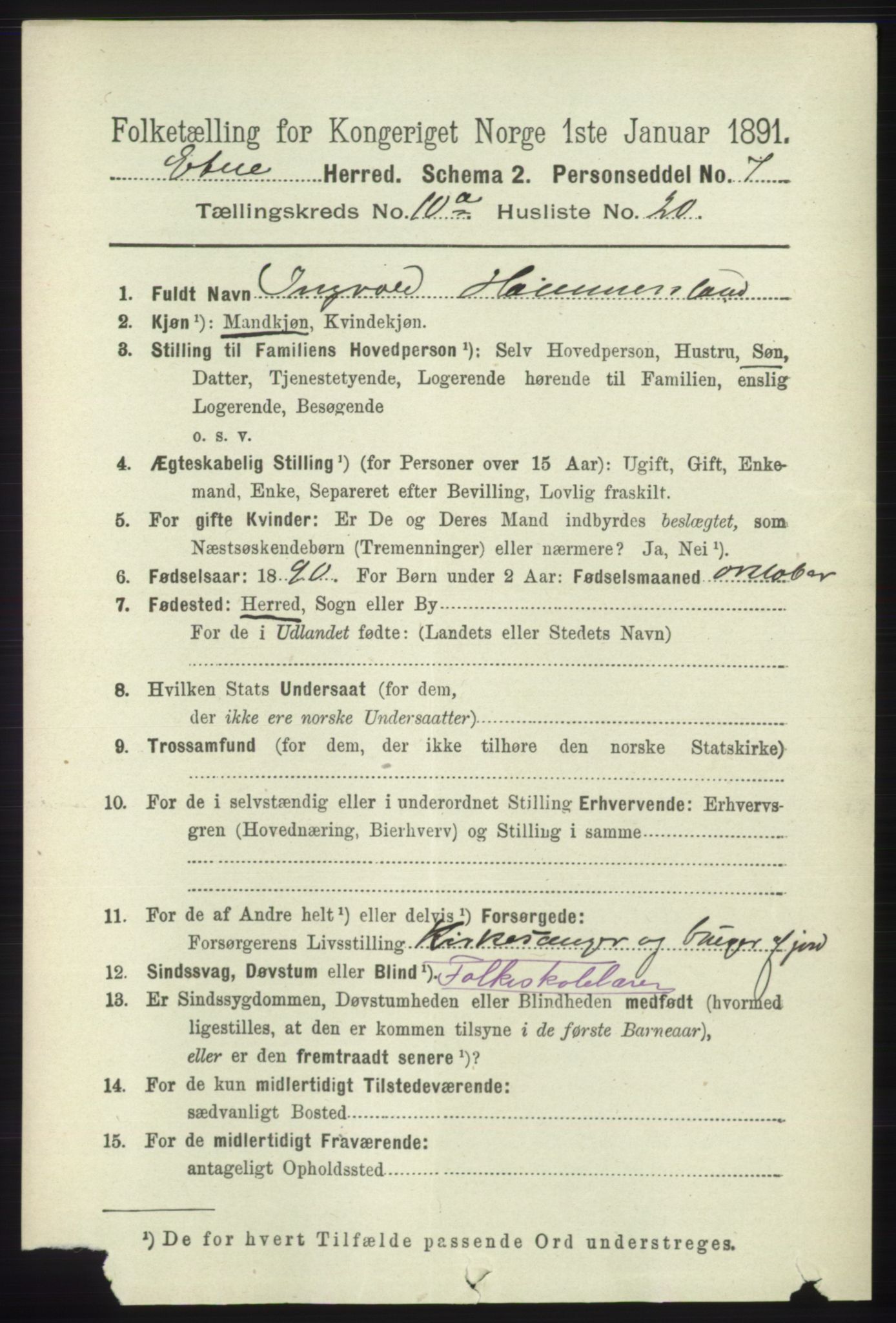RA, 1891 census for 1211 Etne, 1891, p. 1950