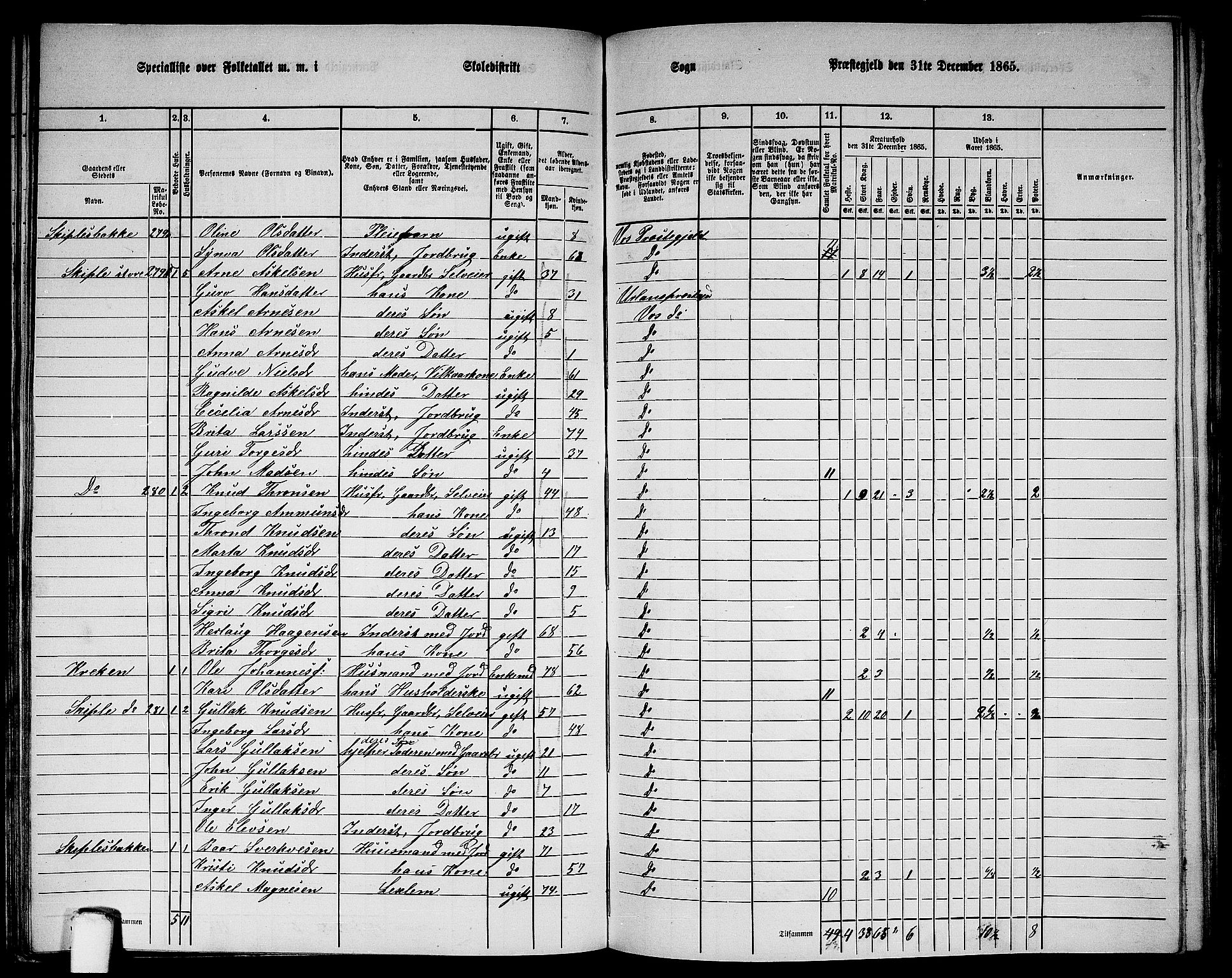 RA, 1865 census for Voss, 1865, p. 142