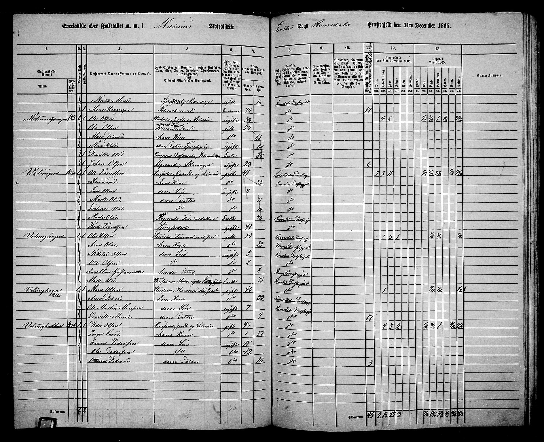 RA, 1865 census for Romedal, 1865, p. 152