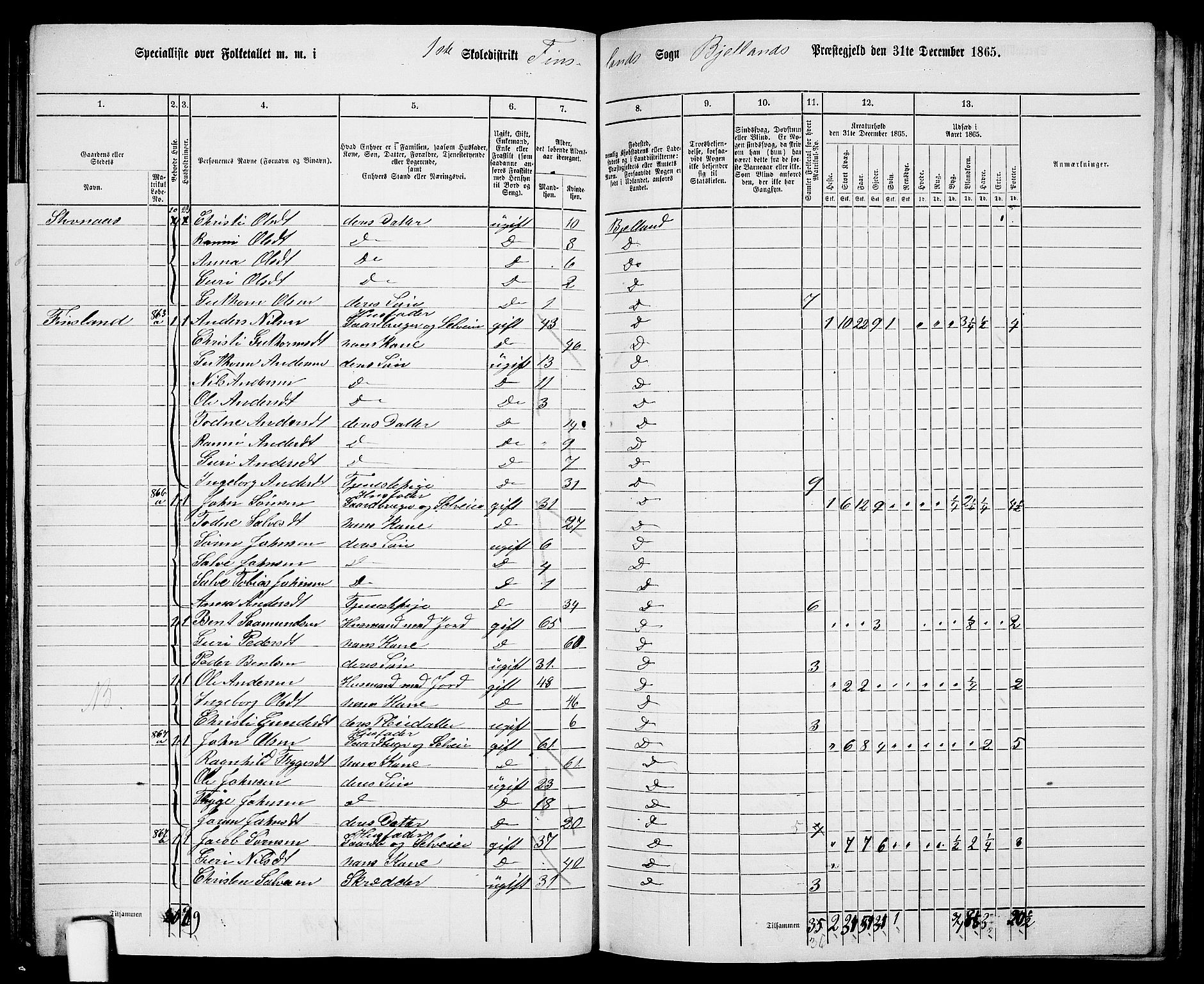 RA, 1865 census for Bjelland, 1865, p. 15