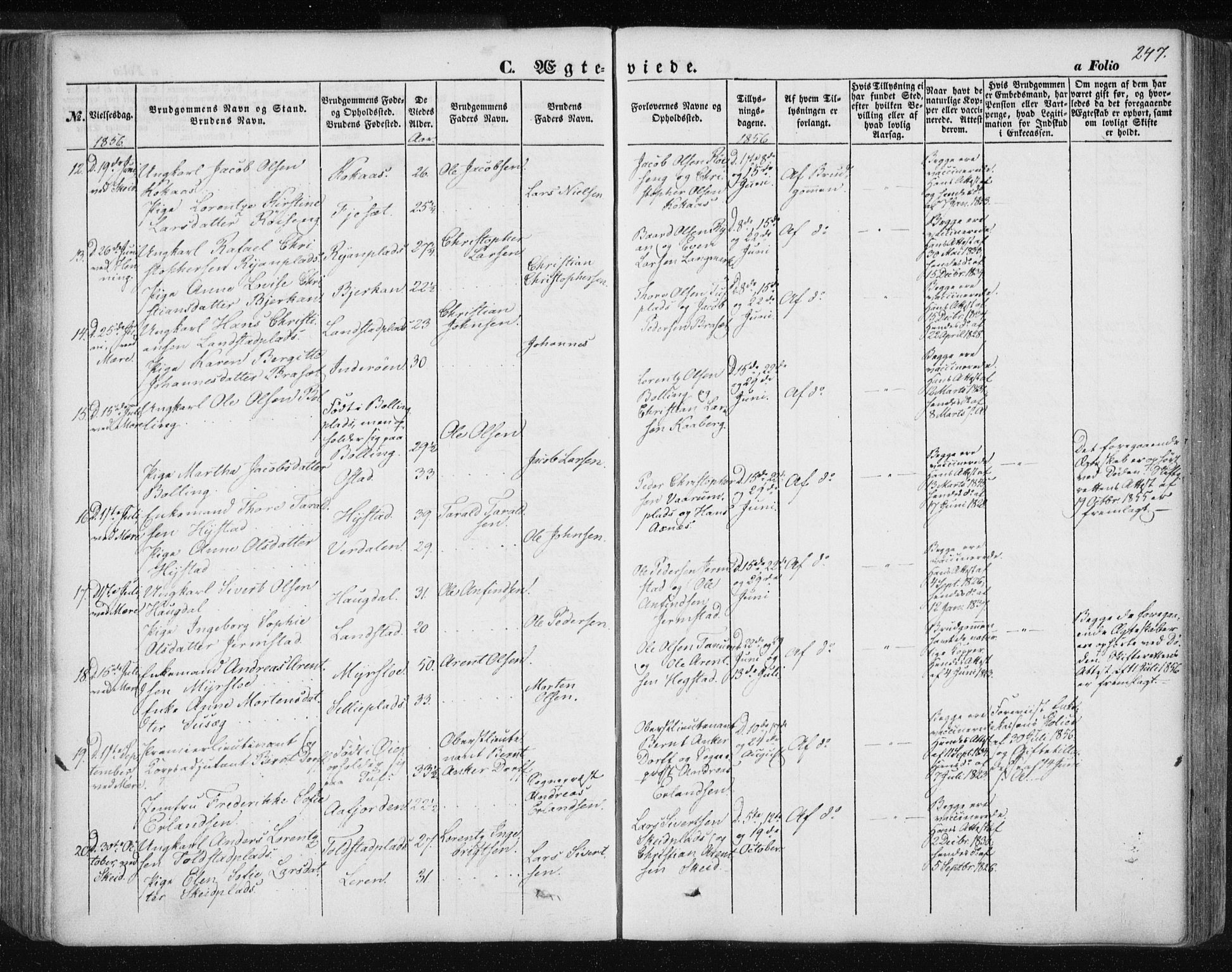 Ministerialprotokoller, klokkerbøker og fødselsregistre - Nord-Trøndelag, AV/SAT-A-1458/735/L0342: Parish register (official) no. 735A07 /1, 1849-1862, p. 247