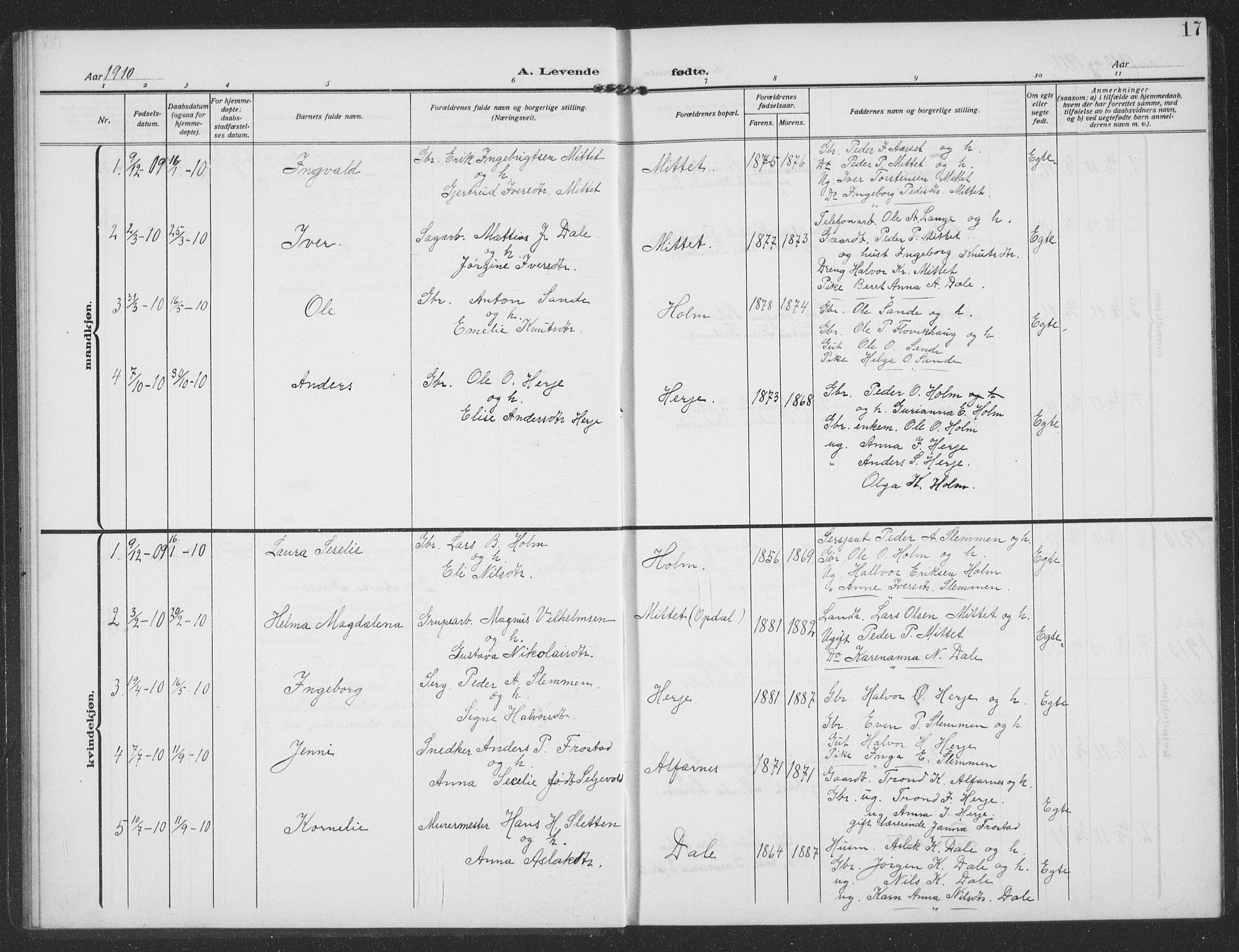 Ministerialprotokoller, klokkerbøker og fødselsregistre - Møre og Romsdal, SAT/A-1454/549/L0615: Parish register (copy) no. 549C01, 1905-1932, p. 17