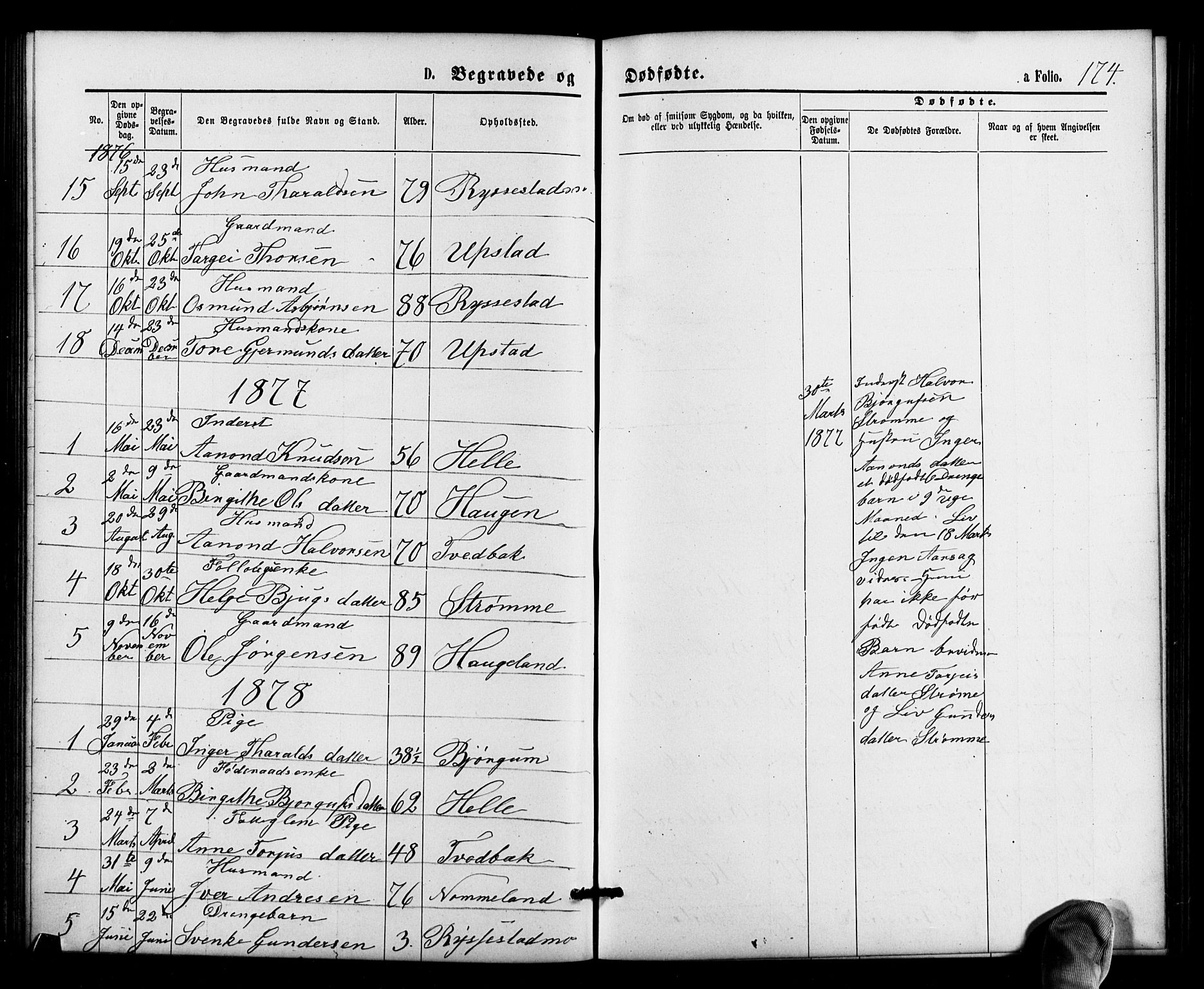 Valle sokneprestkontor, SAK/1111-0044/F/Fb/Fbb/L0002: Parish register (copy) no. B 2, 1875-1921, p. 174