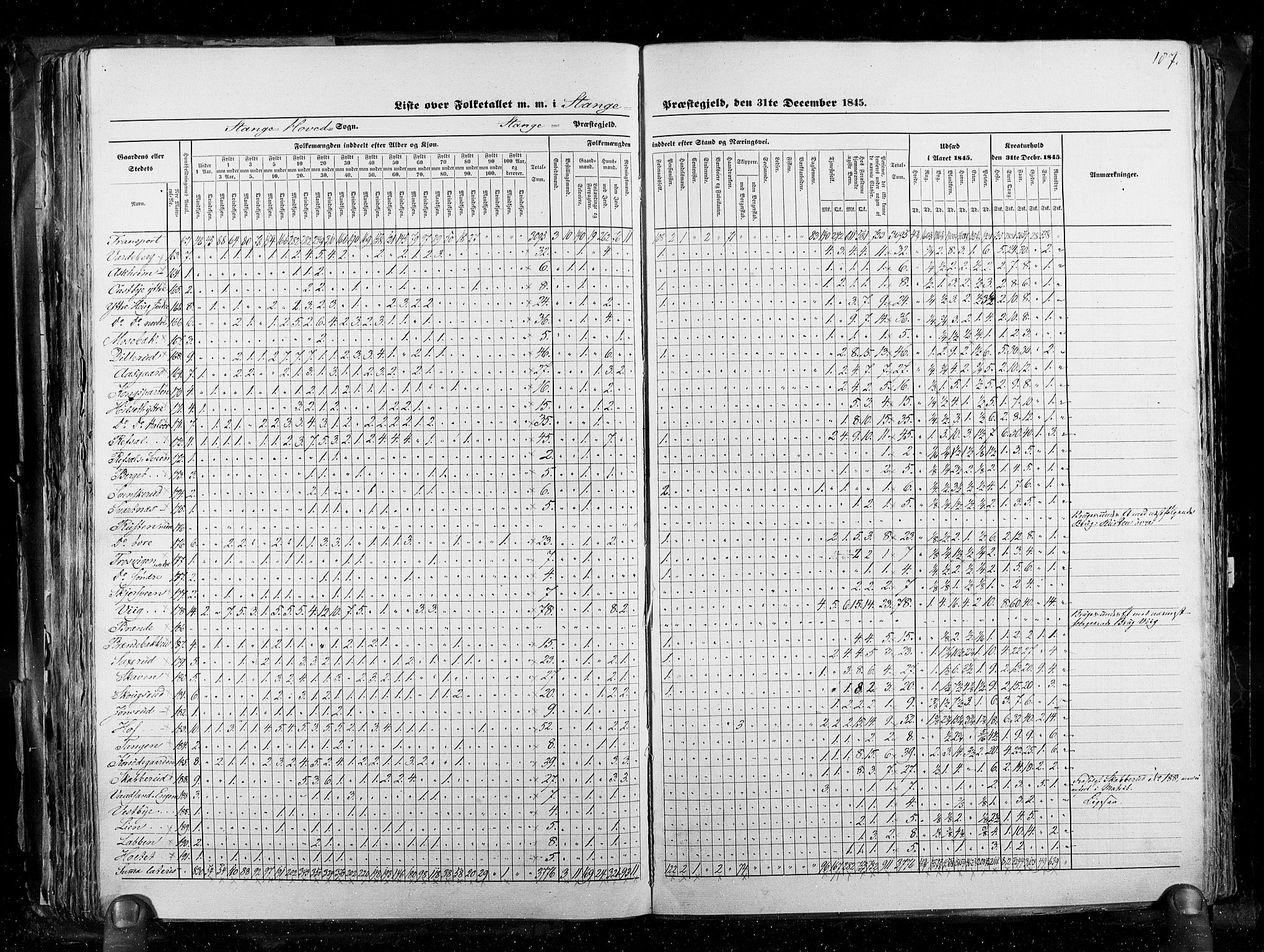 RA, Census 1845, vol. 3: Hedemarken amt og Kristians amt, 1845, p. 187