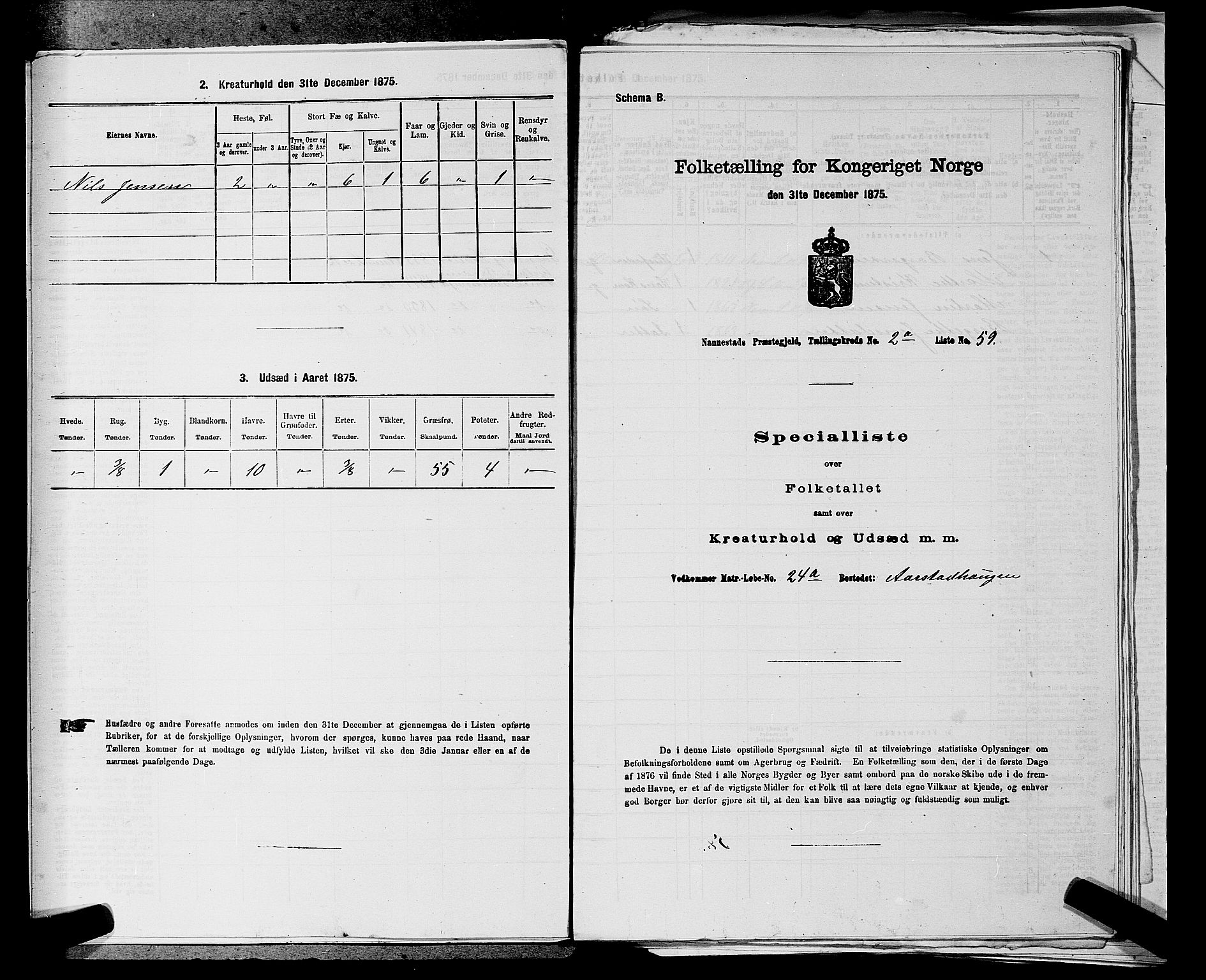 RA, 1875 census for 0238P Nannestad, 1875, p. 334