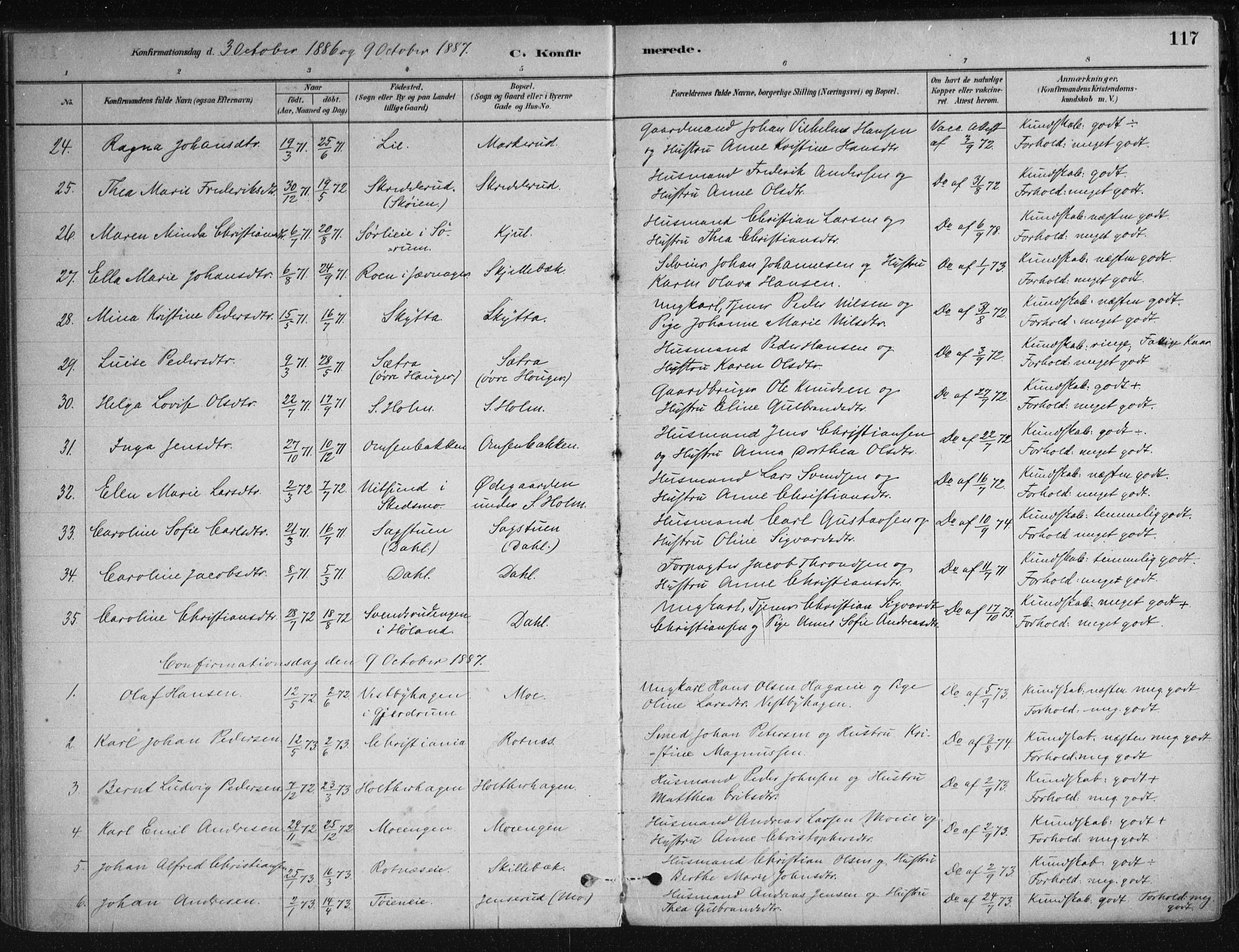 Nittedal prestekontor Kirkebøker, SAO/A-10365a/F/Fa/L0007: Parish register (official) no. I 7, 1879-1901, p. 117