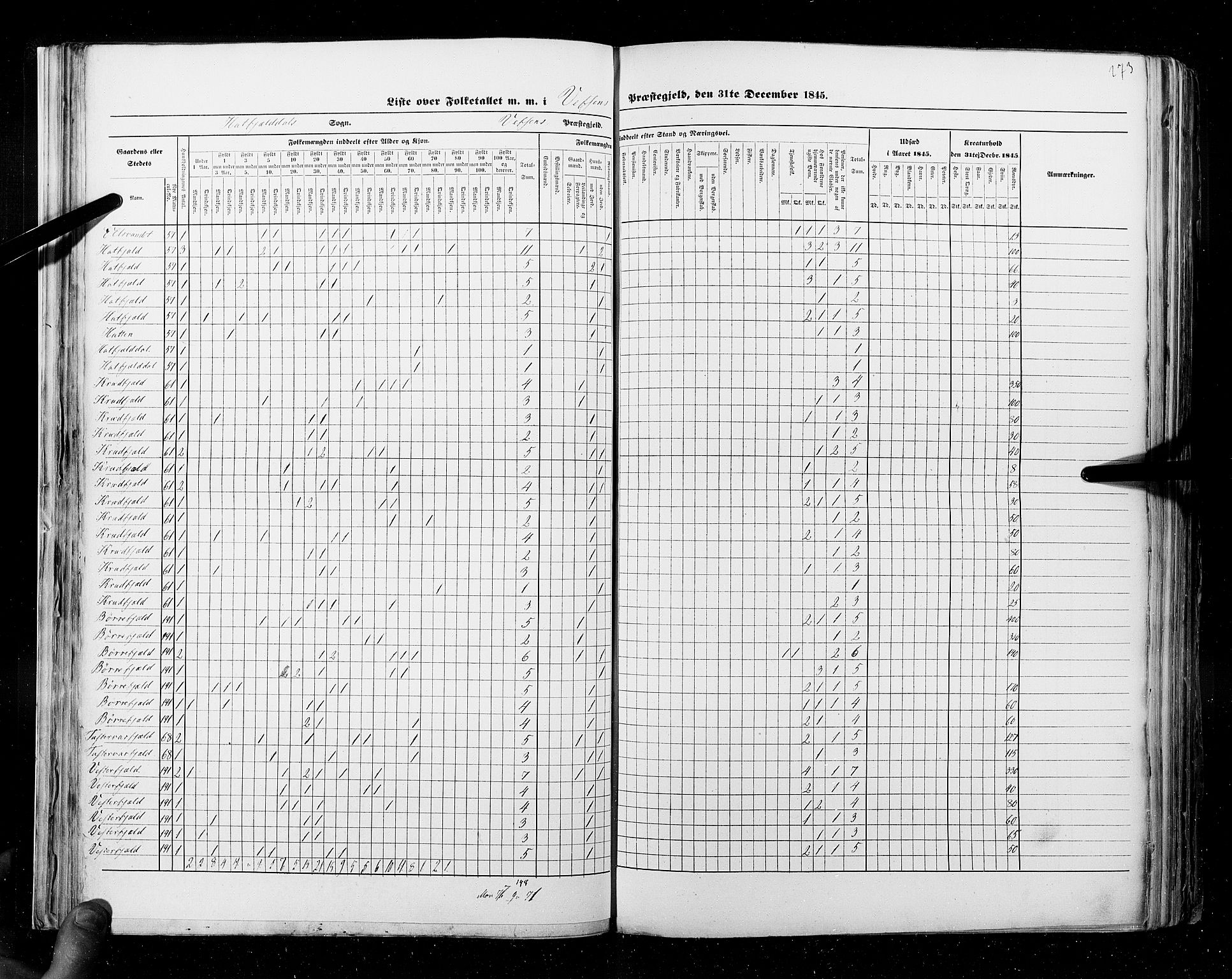 RA, Census 1845, vol. 9B: Nordland amt, 1845, p. 273