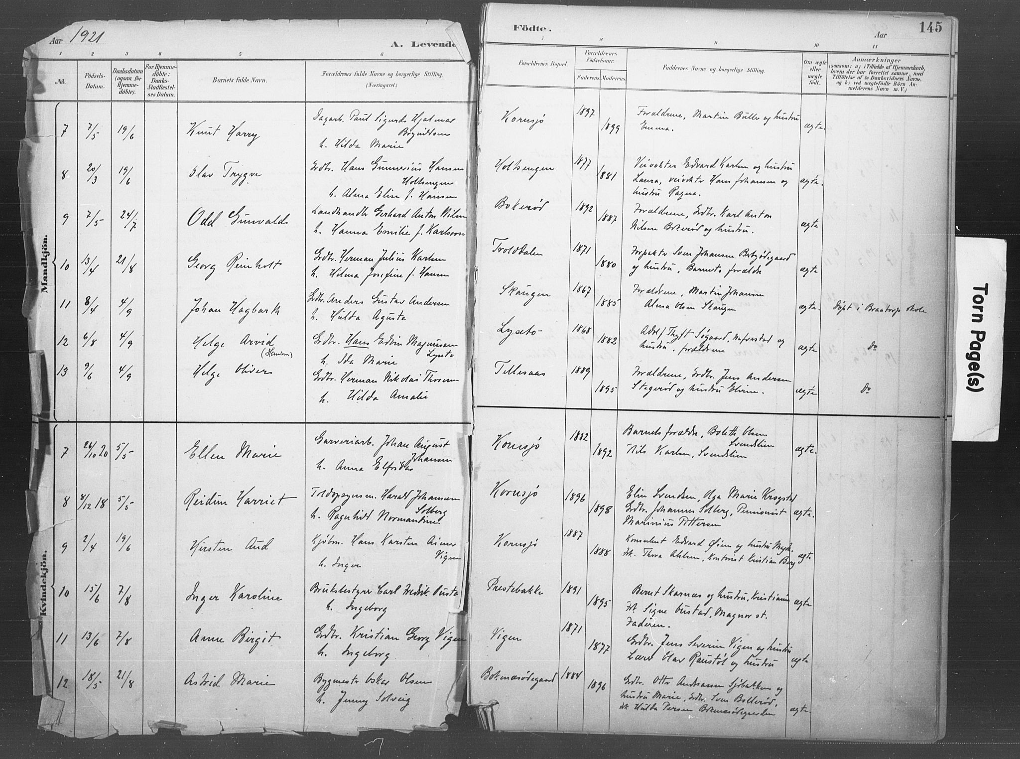 Idd prestekontor Kirkebøker, SAO/A-10911/F/Fb/L0002: Parish register (official) no. II 2, 1882-1923, p. 145