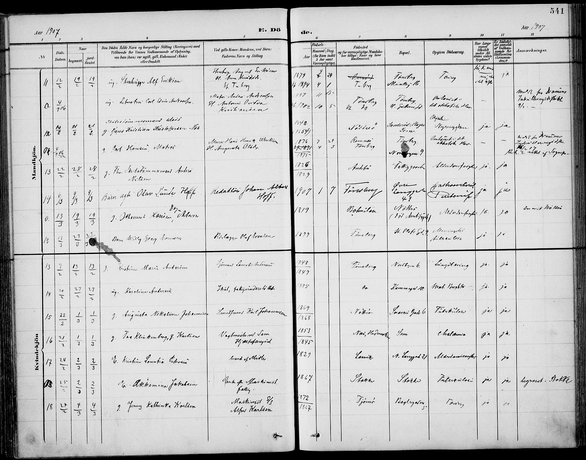 Tønsberg kirkebøker, AV/SAKO-A-330/F/Fa/L0013: Parish register (official) no. I 13, 1900-1913, p. 541