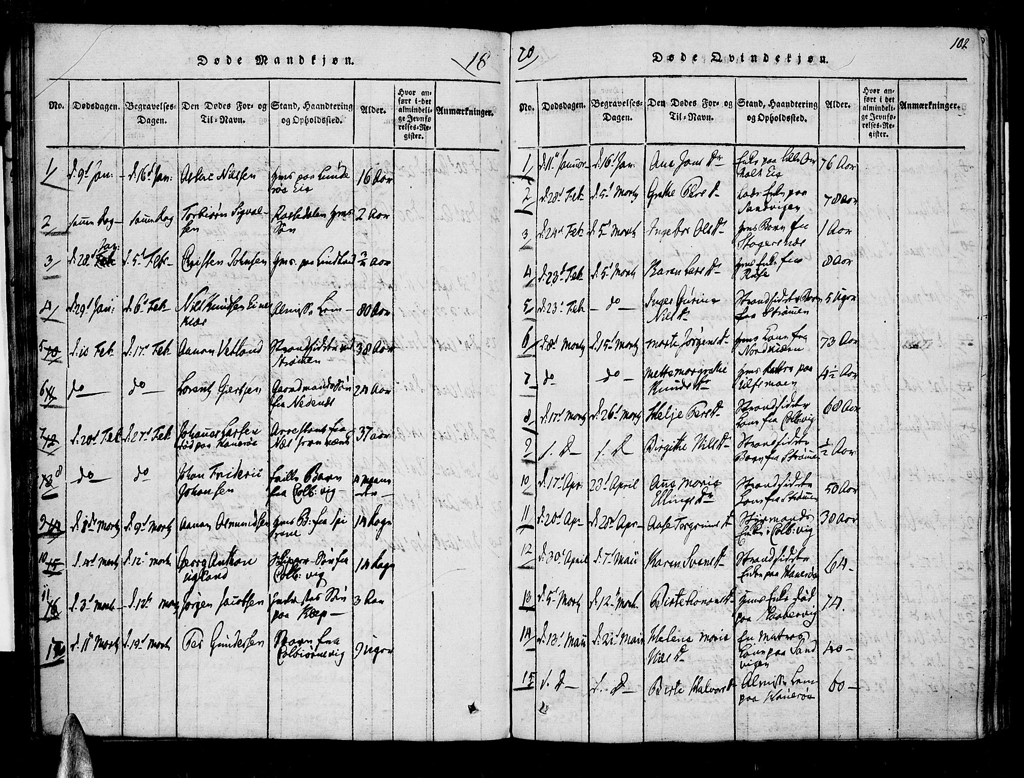Øyestad sokneprestkontor, SAK/1111-0049/F/Fa/L0012: Parish register (official) no. A 12, 1816-1827, p. 102