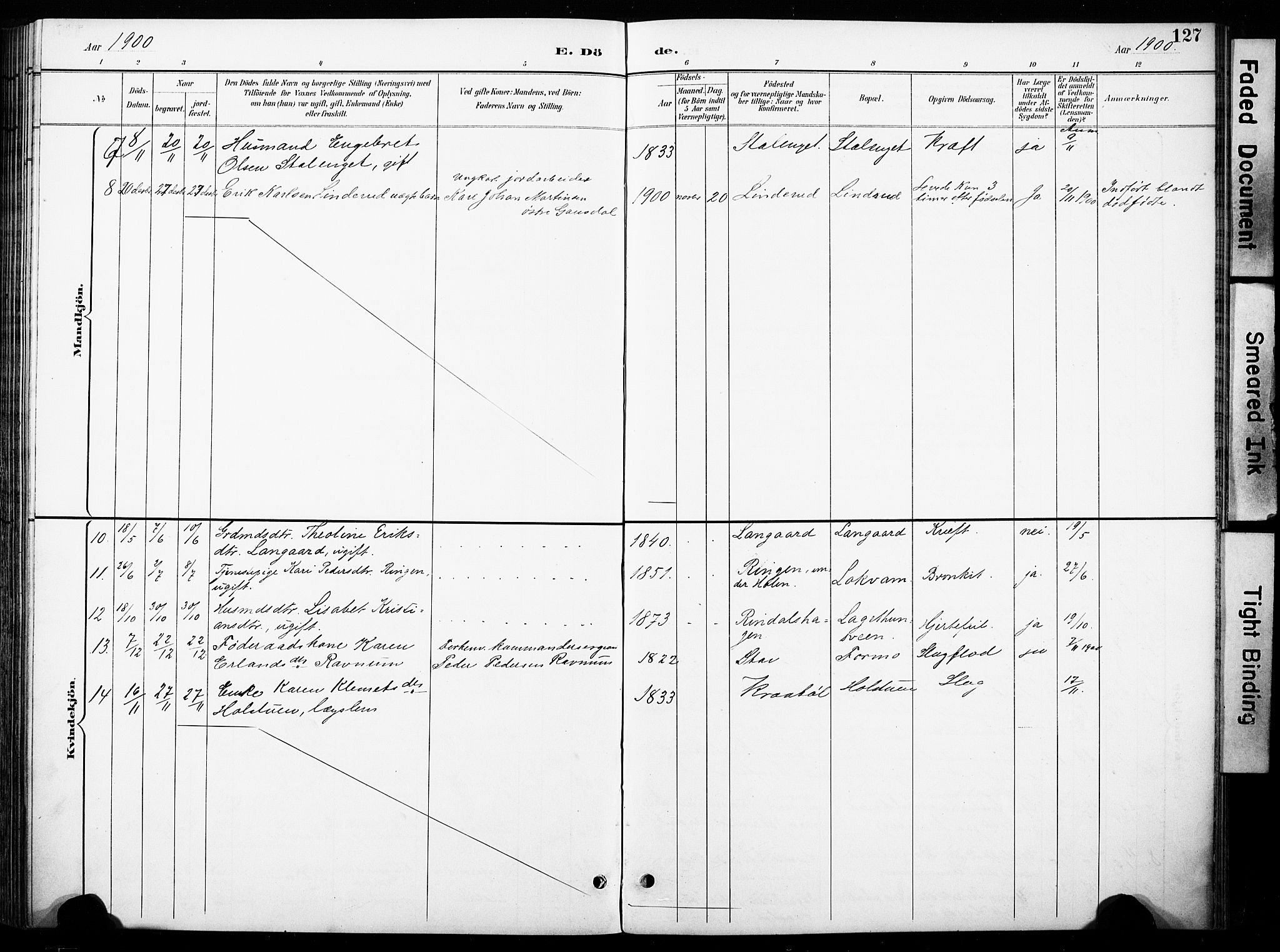 Øyer prestekontor, AV/SAH-PREST-084/H/Ha/Haa/L0011: Parish register (official) no. 11, 1894-1905, p. 127