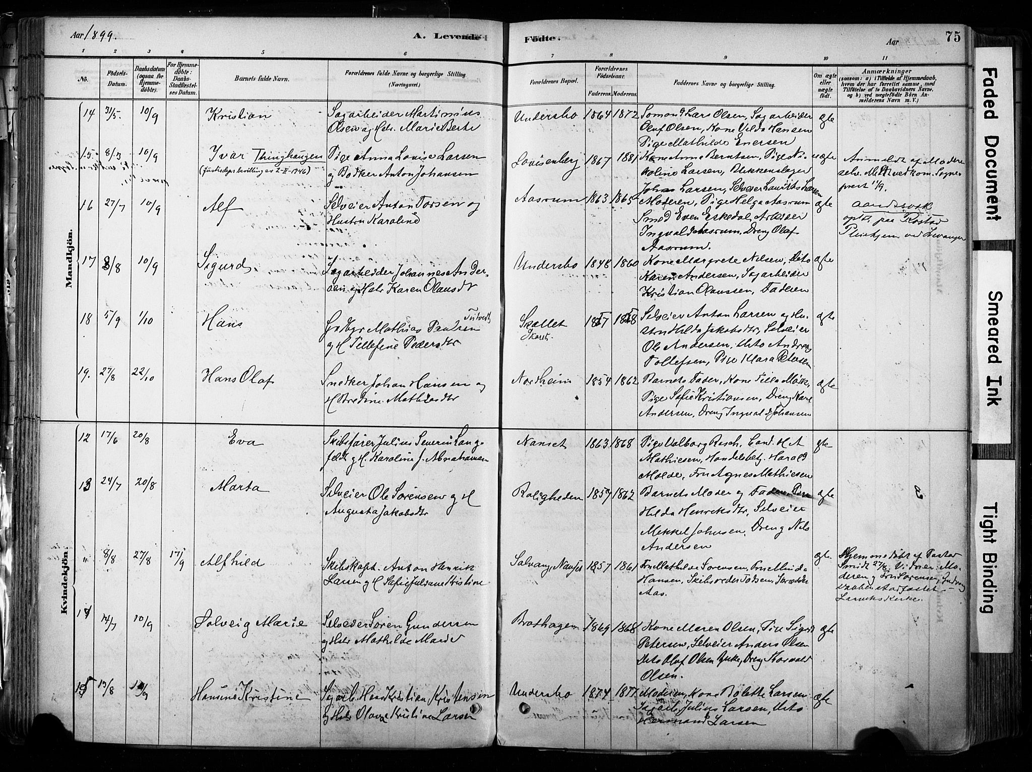 Hedrum kirkebøker, AV/SAKO-A-344/F/Fa/L0009: Parish register (official) no. I 9, 1881-1903, p. 75