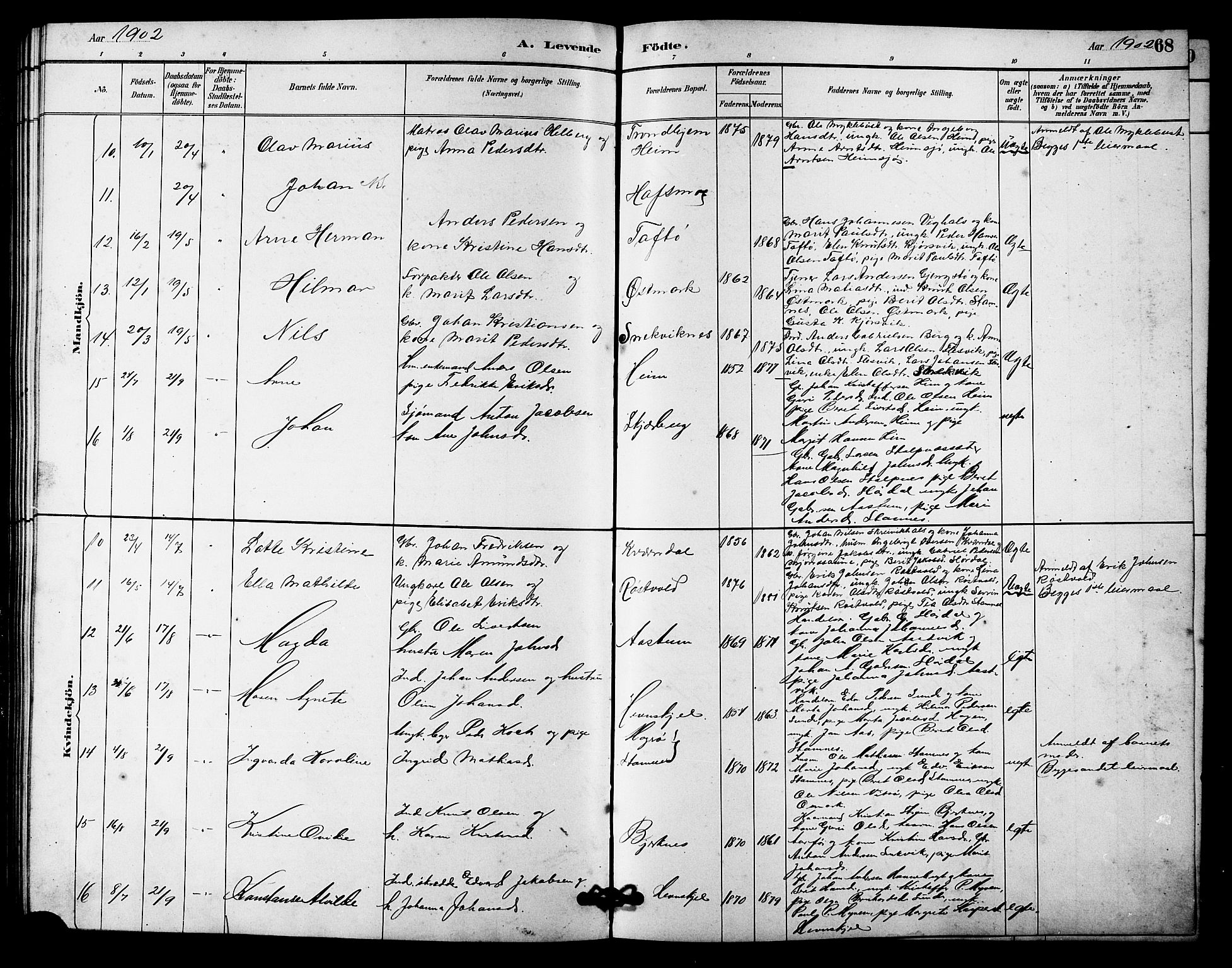 Ministerialprotokoller, klokkerbøker og fødselsregistre - Sør-Trøndelag, AV/SAT-A-1456/633/L0519: Parish register (copy) no. 633C01, 1884-1905, p. 68