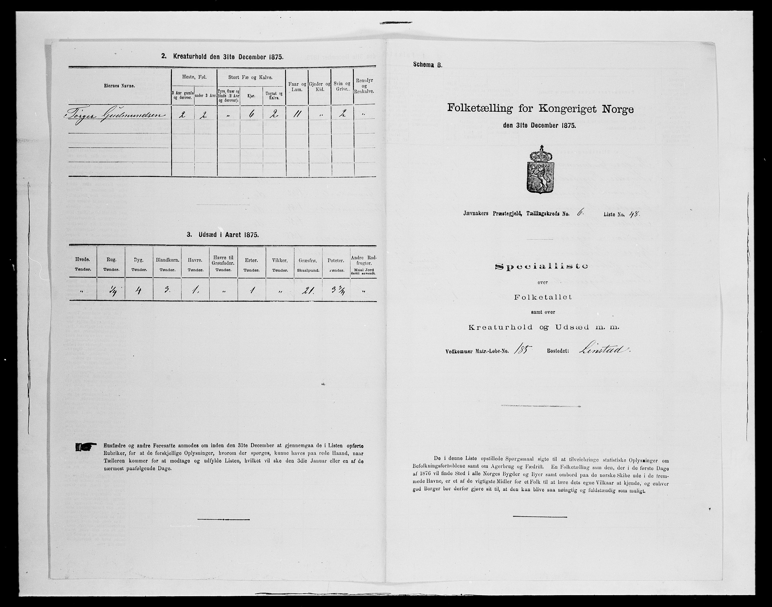 SAH, 1875 census for 0532P Jevnaker, 1875, p. 1117