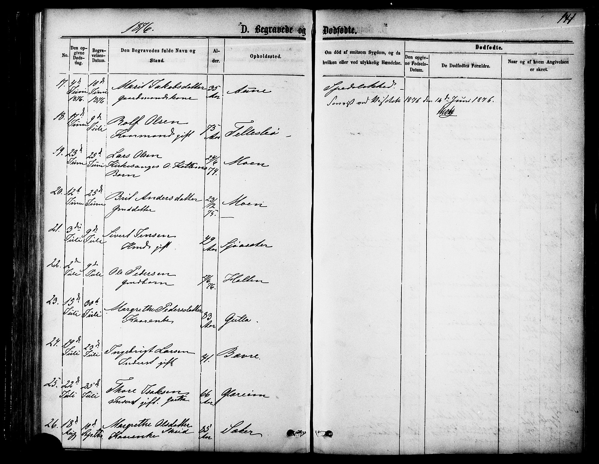 Ministerialprotokoller, klokkerbøker og fødselsregistre - Møre og Romsdal, AV/SAT-A-1454/595/L1046: Parish register (official) no. 595A08, 1874-1884, p. 241