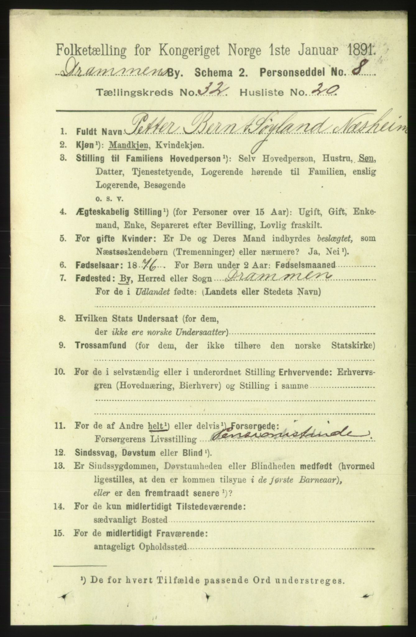 RA, 1891 census for 0602 Drammen, 1891, p. 19519