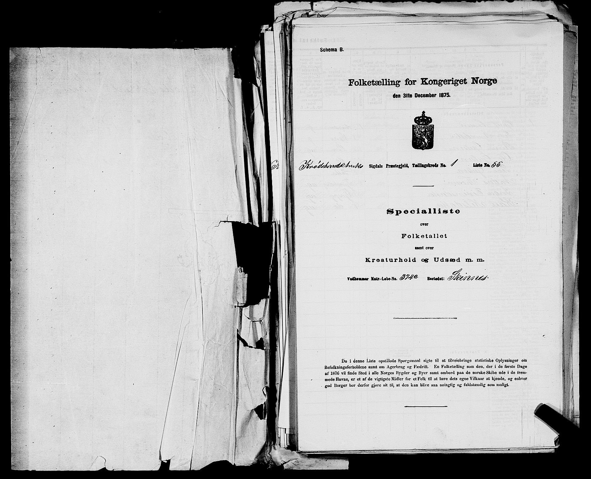 SAKO, 1875 census for 0621P Sigdal, 1875, p. 1160