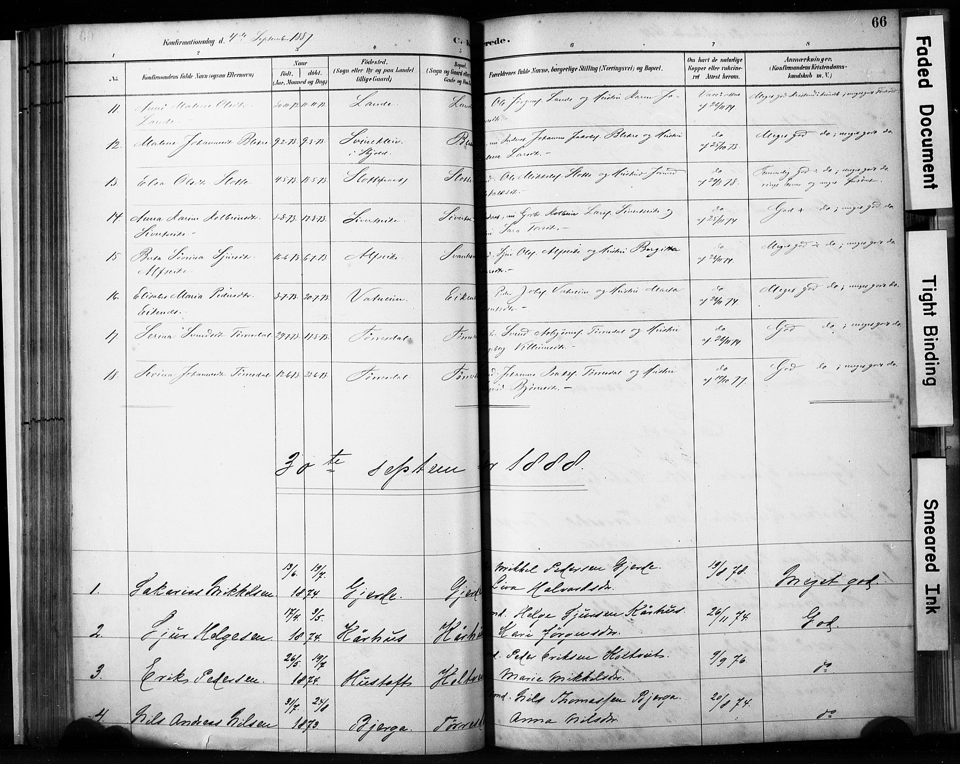 Skjold sokneprestkontor, AV/SAST-A-101847/H/Ha/Haa/L0009: Parish register (official) no. A 9, 1882-1898, p. 66