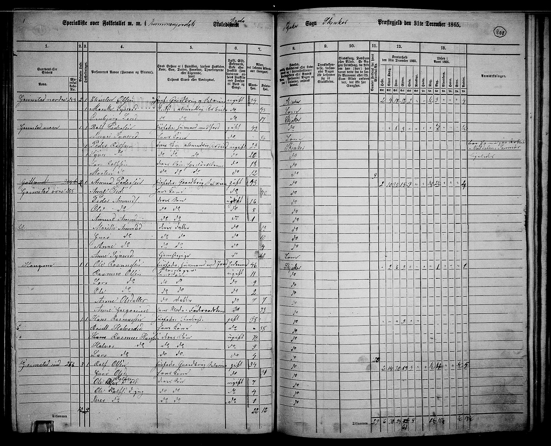 RA, 1865 census for Skjåk, 1865, p. 60