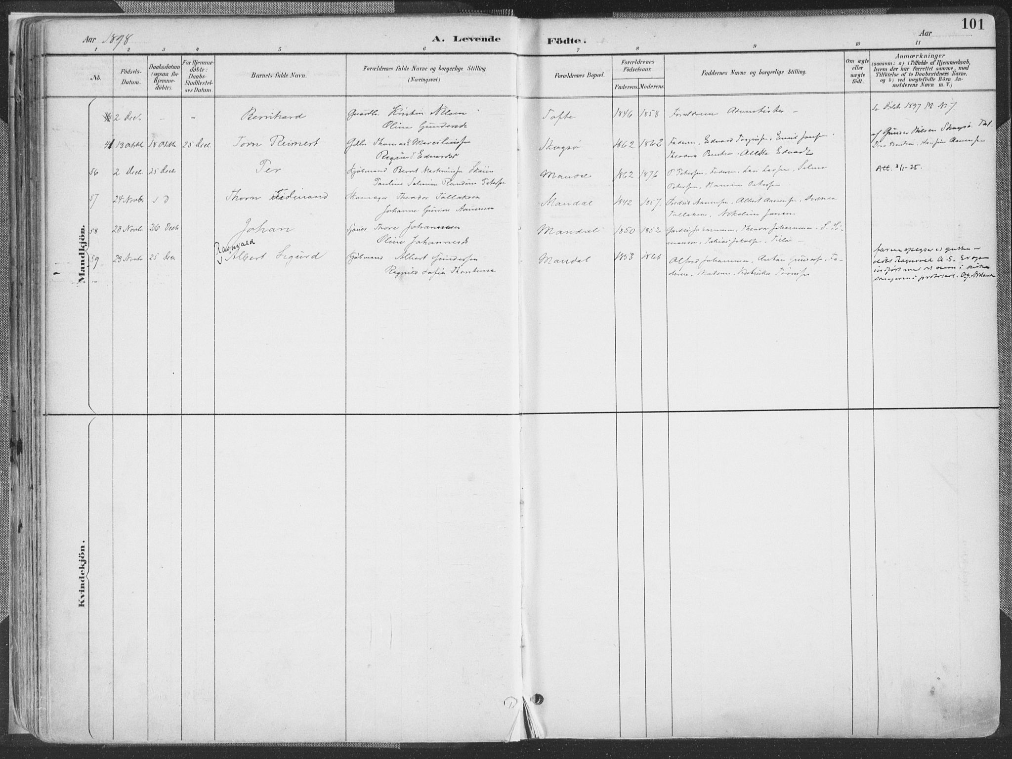 Mandal sokneprestkontor, AV/SAK-1111-0030/F/Fa/Faa/L0018: Parish register (official) no. A 18, 1890-1905, p. 101