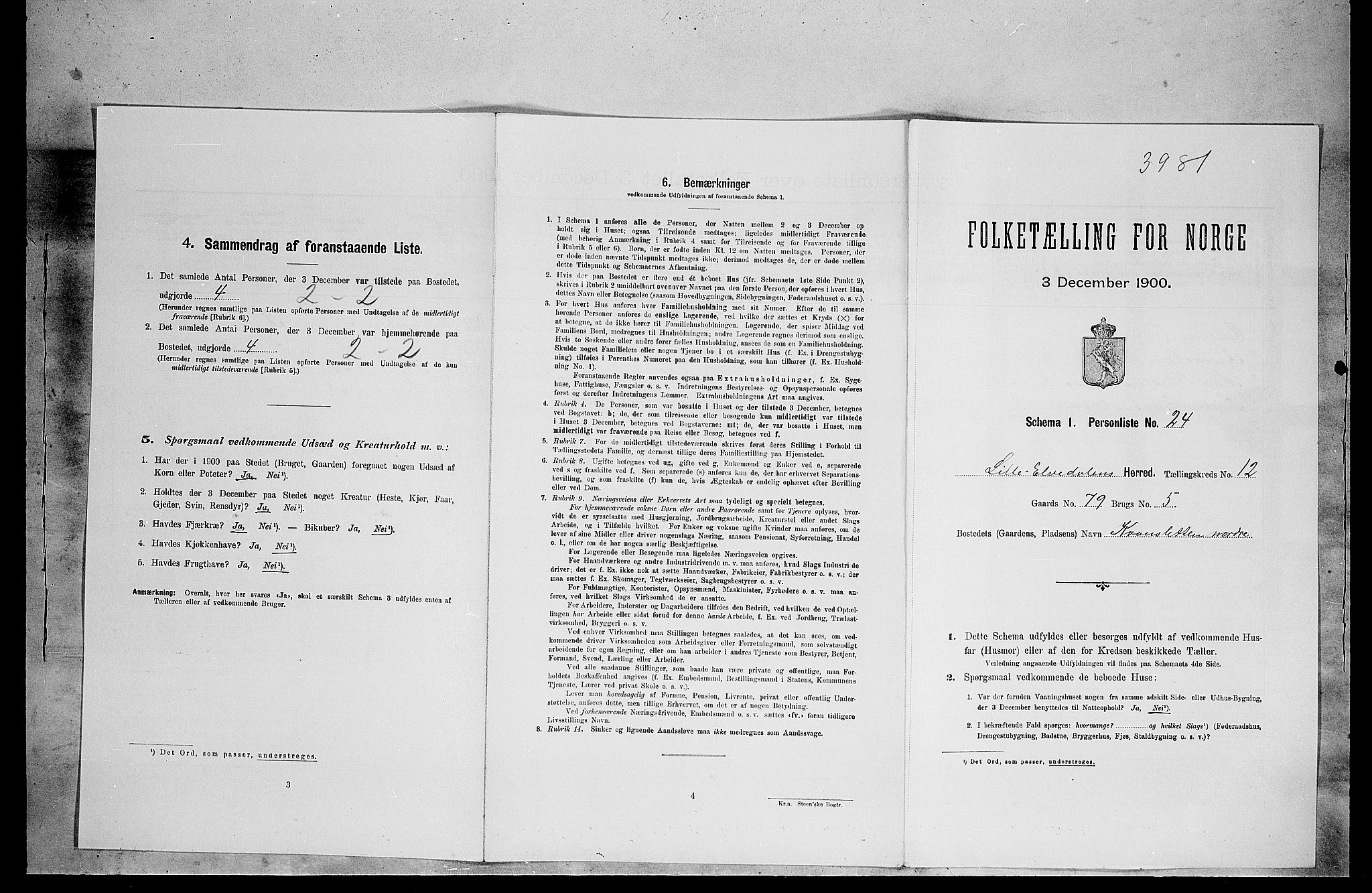 SAH, 1900 census for Lille Elvedalen, 1900, p. 893