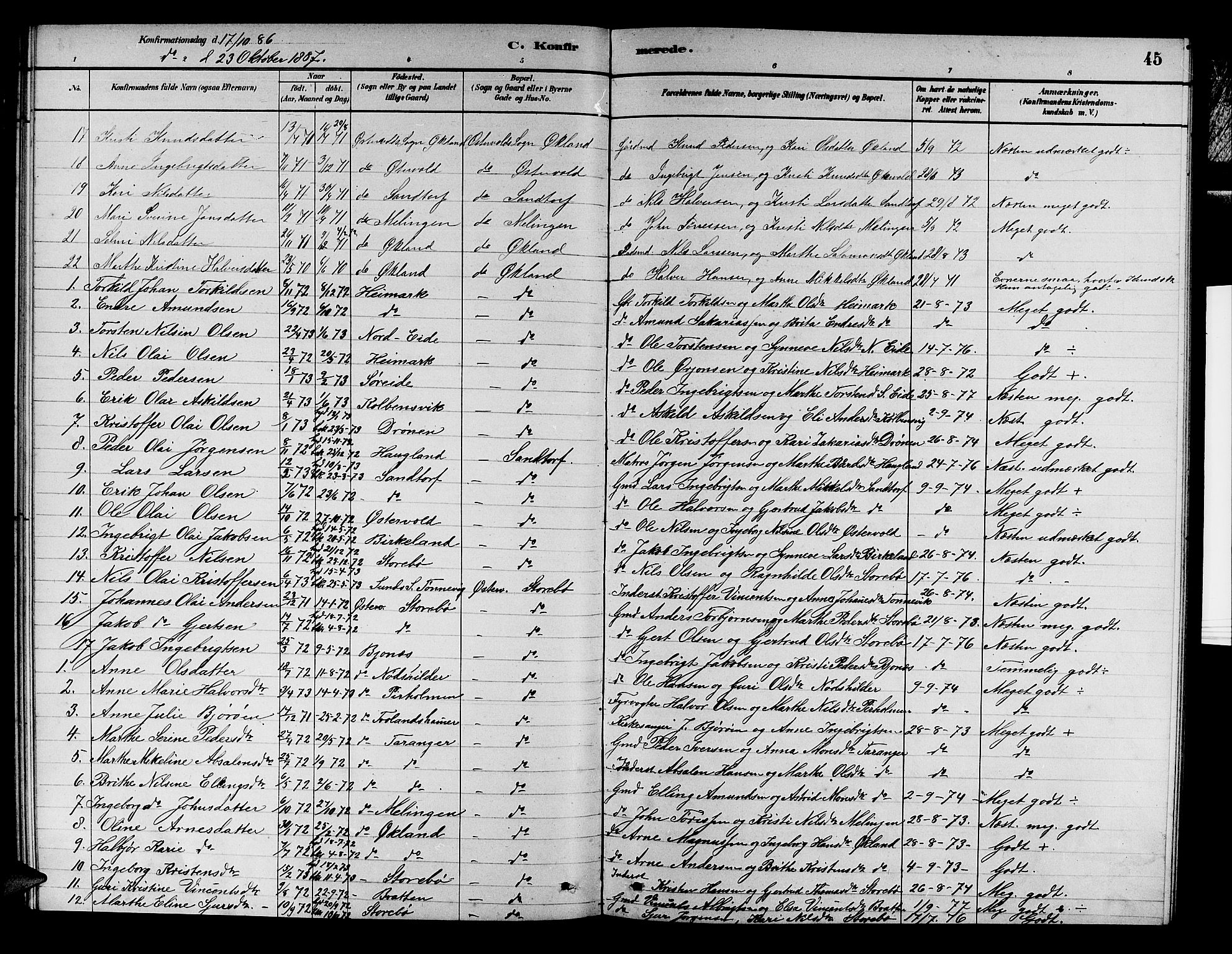 Austevoll Sokneprestembete, SAB/A-74201/H/Hab: Parish register (copy) no. A 2, 1880-1888, p. 45