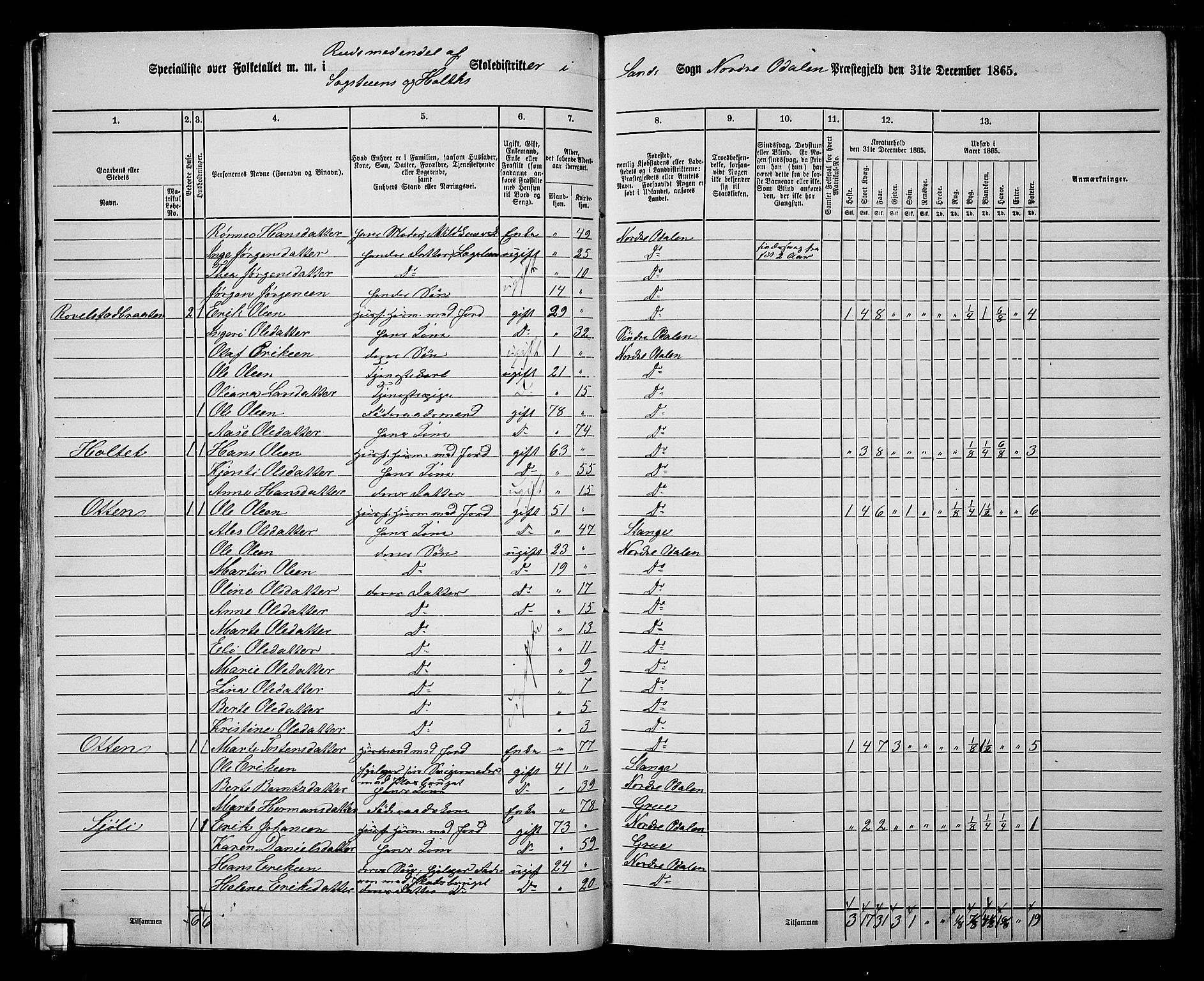 RA, 1865 census for Nord-Odal, 1865, p. 49