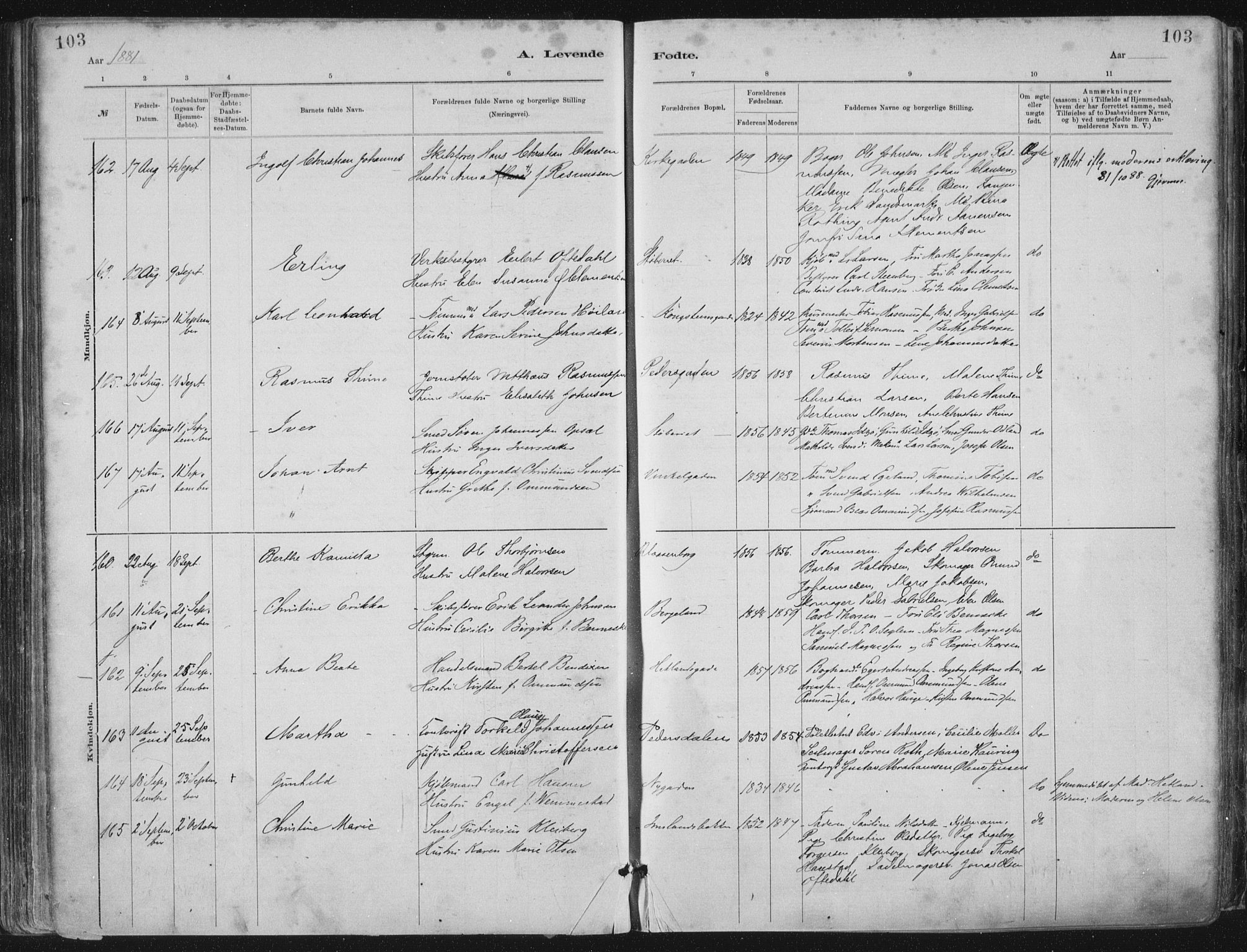 St. Petri sokneprestkontor, AV/SAST-A-101813/001/30/30BA/L0015: Parish register (official) no. A 15, 1879-1888, p. 103