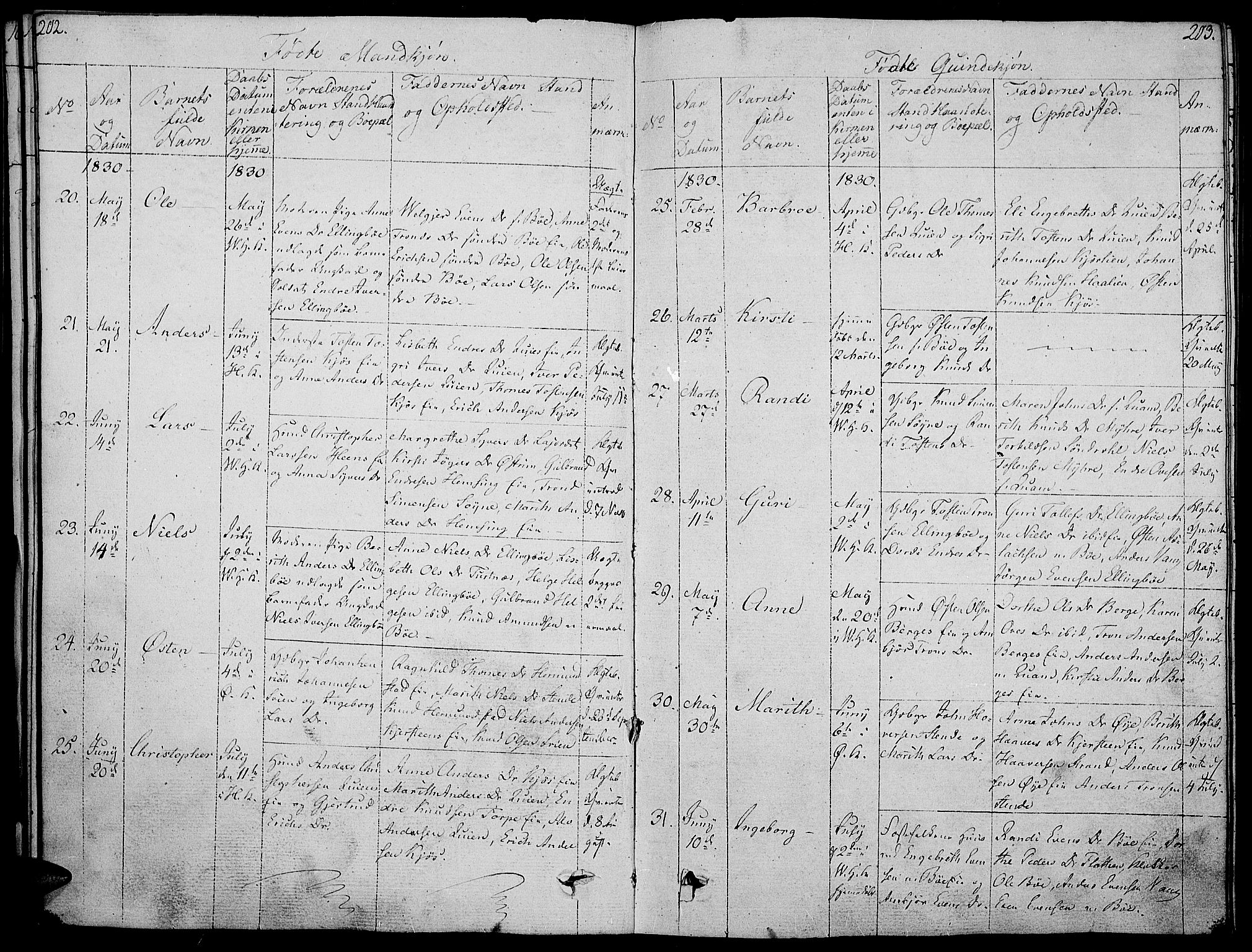 Vang prestekontor, Valdres, AV/SAH-PREST-140/H/Ha/L0003: Parish register (official) no. 3, 1809-1831, p. 202-203