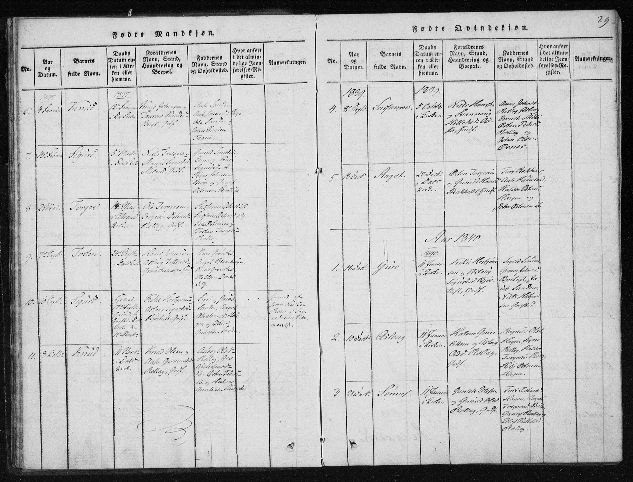 Tinn kirkebøker, SAKO/A-308/F/Fb/L0001: Parish register (official) no. II 1, 1815-1843, p. 29