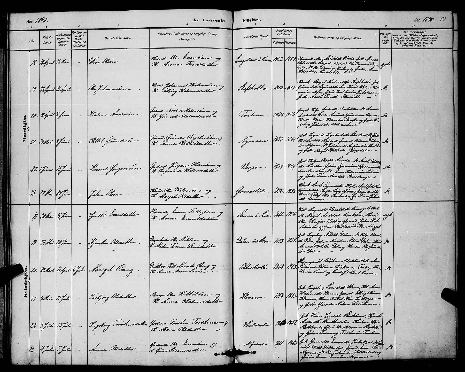 Bø kirkebøker, AV/SAKO-A-257/G/Ga/L0005: Parish register (copy) no. 5, 1883-1897, p. 58