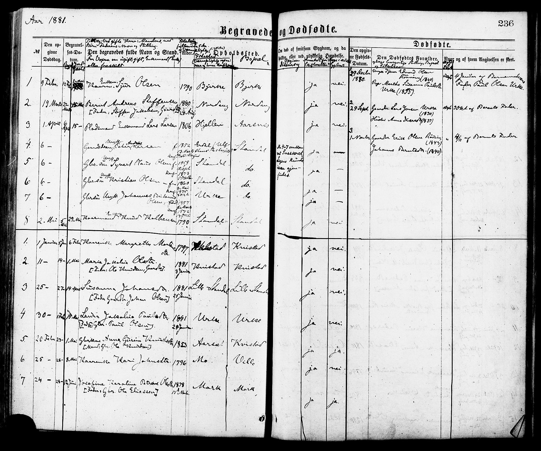 Ministerialprotokoller, klokkerbøker og fødselsregistre - Møre og Romsdal, SAT/A-1454/515/L0210: Parish register (official) no. 515A06, 1868-1885, p. 236