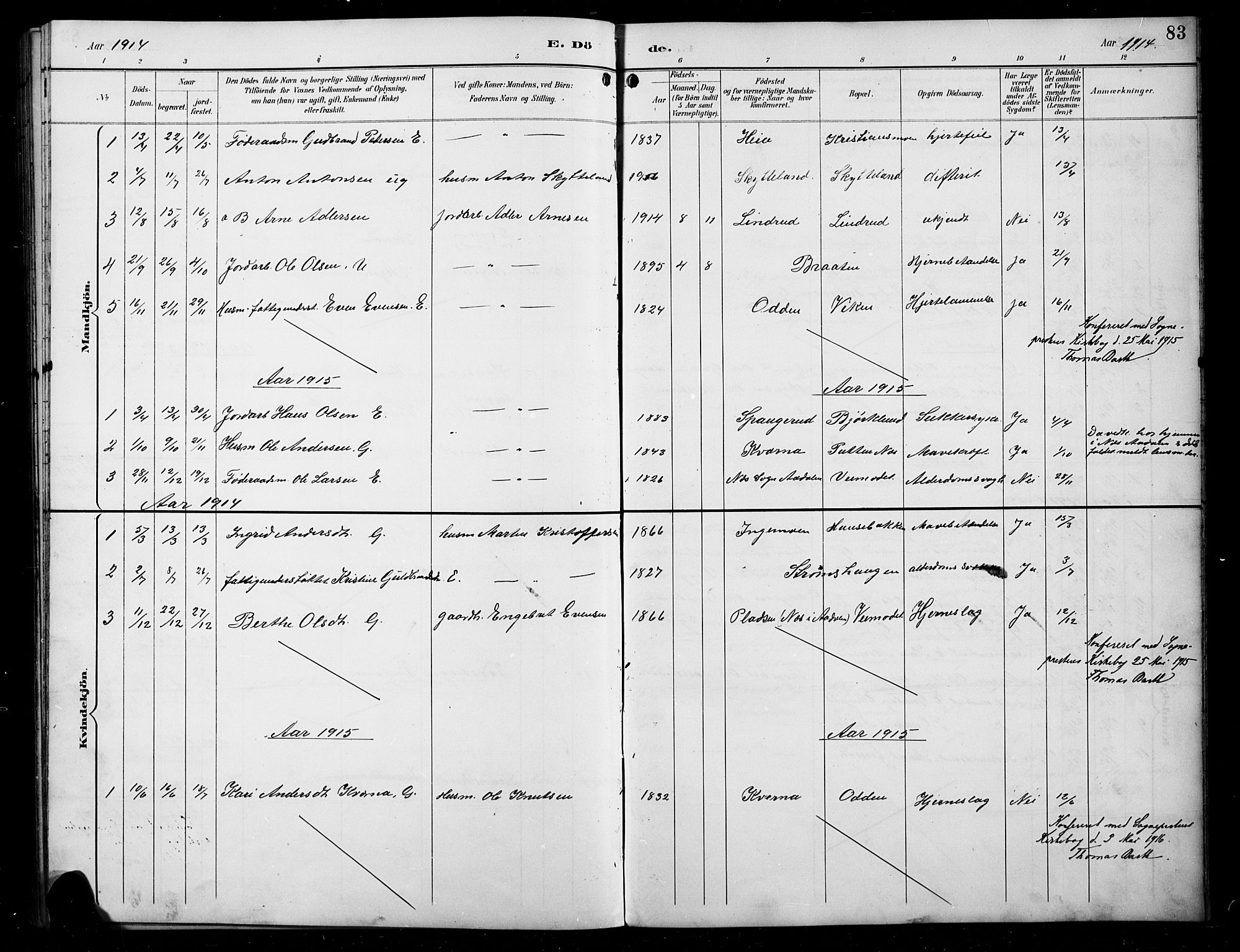 Sør-Aurdal prestekontor, AV/SAH-PREST-128/H/Ha/Hab/L0008: Parish register (copy) no. 8, 1894-1921, p. 83