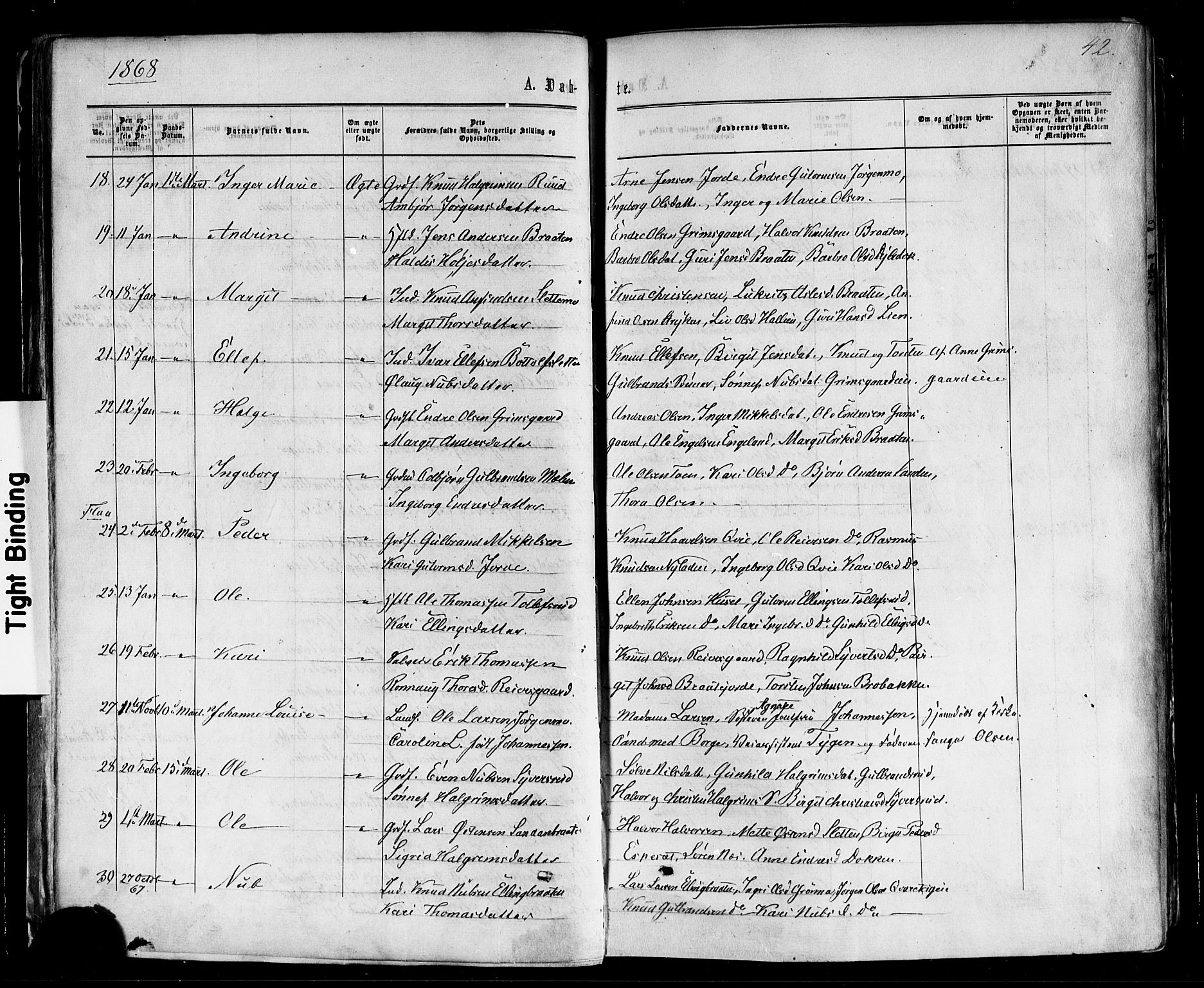 Nes kirkebøker, AV/SAKO-A-236/F/Fa/L0010: Parish register (official) no. 10, 1864-1880, p. 42